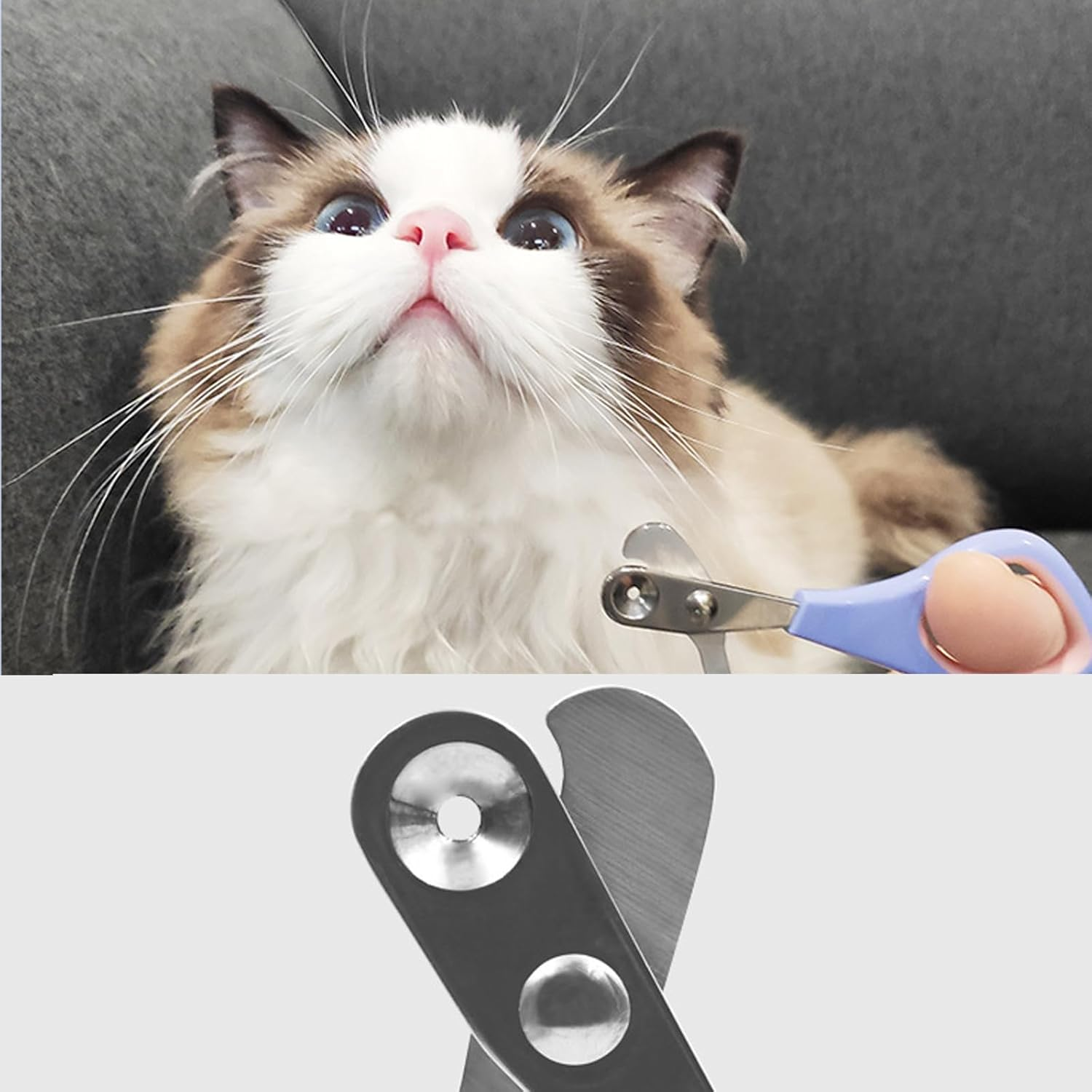 Pet Nail Clippers with 2Mm Circular Cut Hole, Avoid over Cutting Pet Nail Clippers, Cat Grooming and Nail Care Claw Trimmer for Cats,Small Dogs, Birds, Reptiles and Small Animals (Purple)