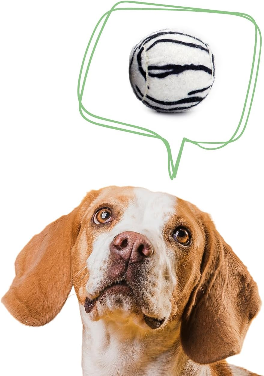 SPORTSPET Tennis Balls for Dogs Jungle, Dog Balls without Squeaker - Set of 3 image number 4