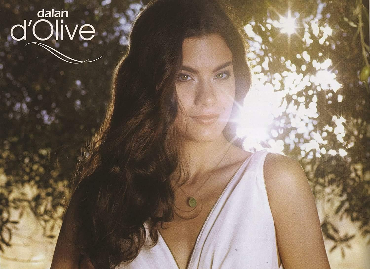 Dalan D'Olive - Vegan Shampoo Bar 171G image number 4