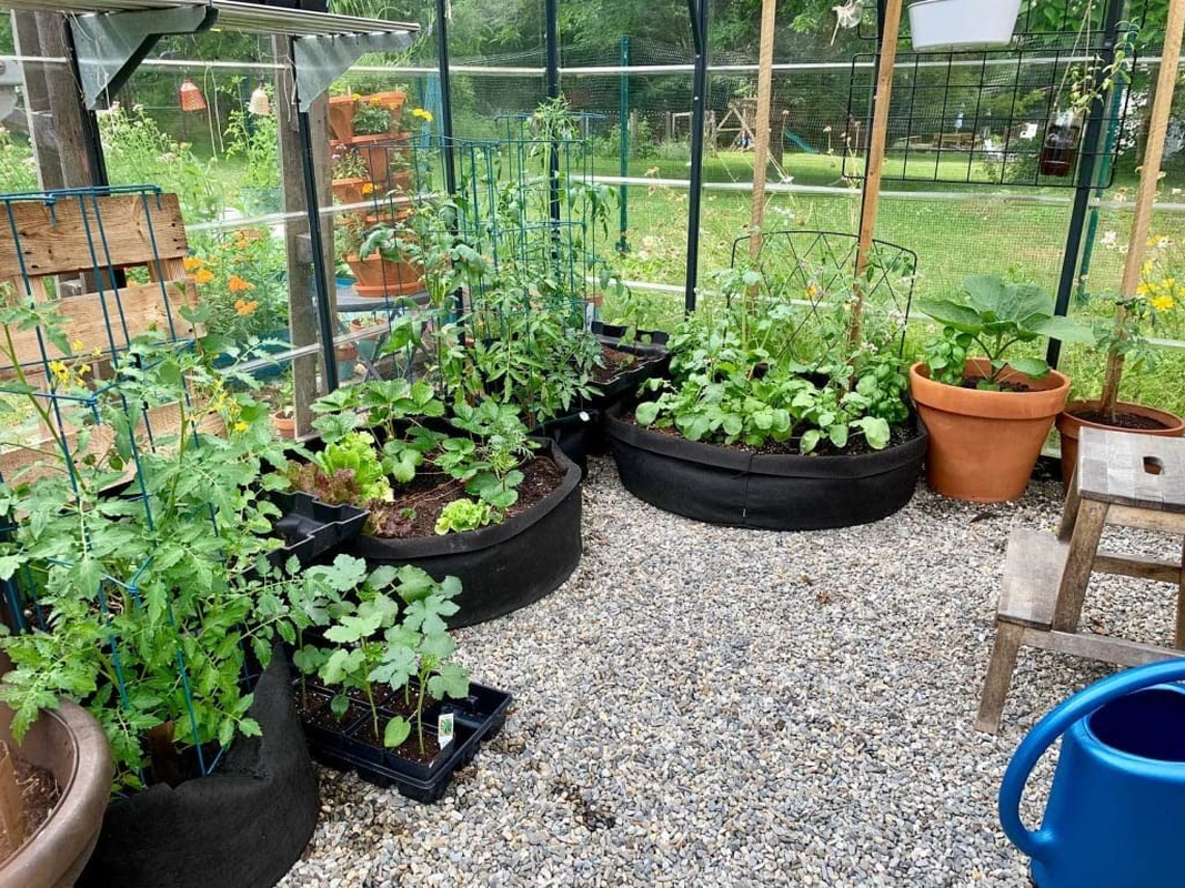 100 Gallon Plant Grow Bags, Heavy Duty Fabric Raised Garden Planting Bed round Breathable Felt Planting Container for Vegetables Flower Herbs and Plants, Gardening Outdoor image number 6