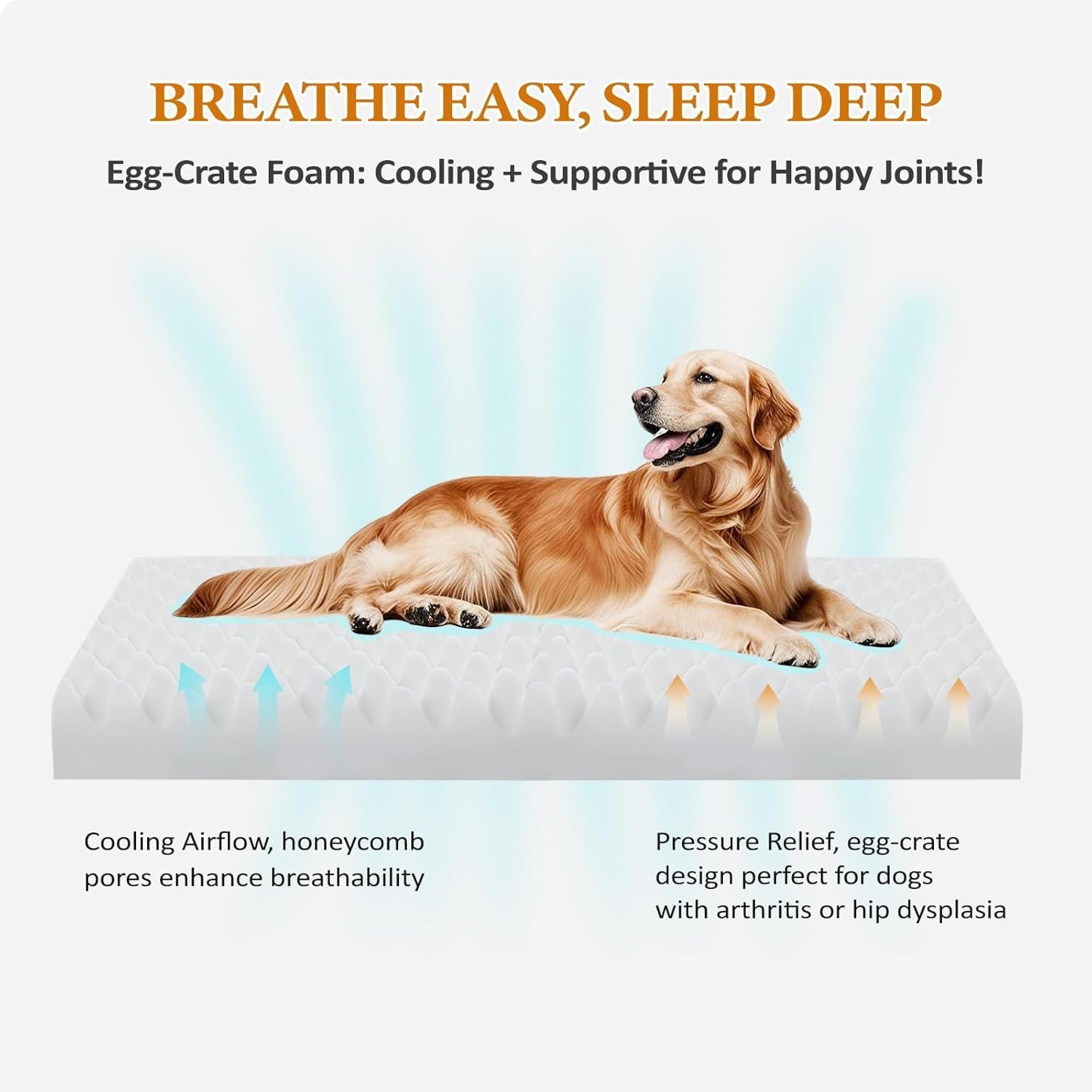 Dog Bed with Foam Support for Dogs 70X60Cm, Waterproof Memory Foam Pet Bed with Sides, Non-Slip and Egg-Crate Foam Big Dog Couch Bed with Washable Removable Cover image number 3