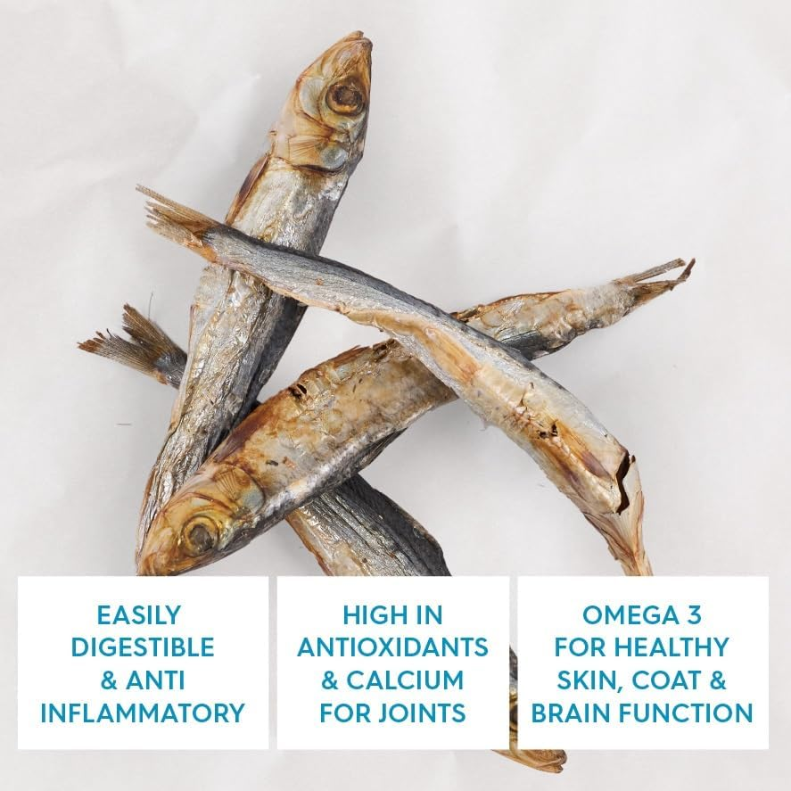 Kazoo Prime Cuts Sardine - 100G image number 1