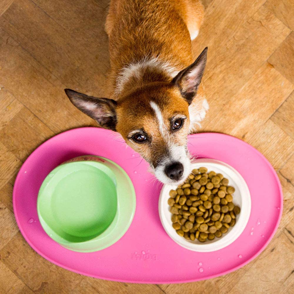 Beco Silicone Dog and Cat Food and Water Placemat Accessory Green One Size image number 3