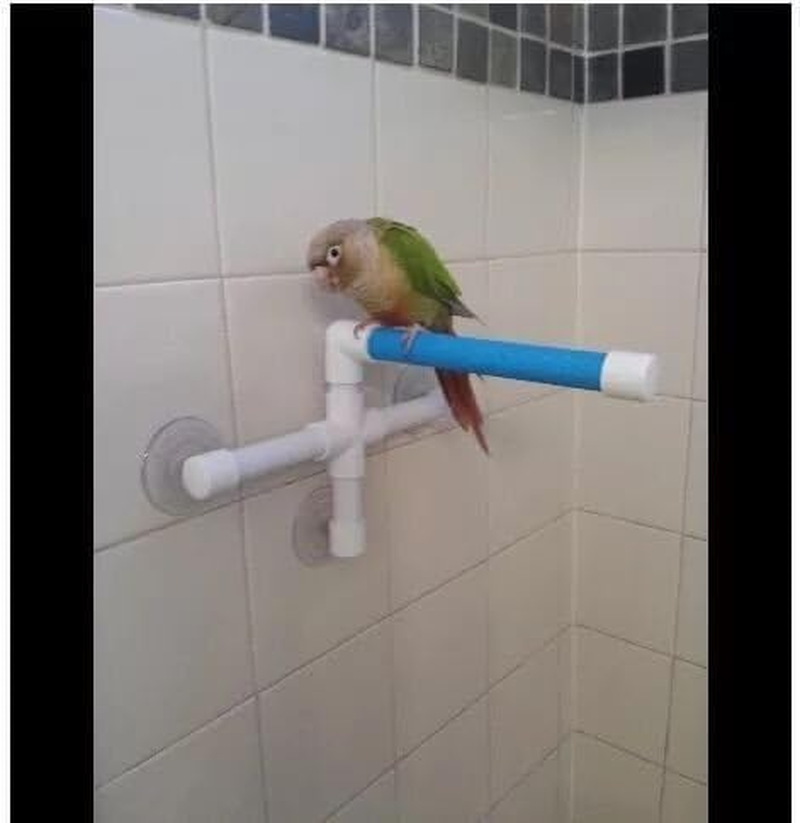 Portable Bird Parrot Stand with 3 Suction Cups,Shower Perch, Toy Holder & Wall-Hanging Platform for Parakeet Play image number 3