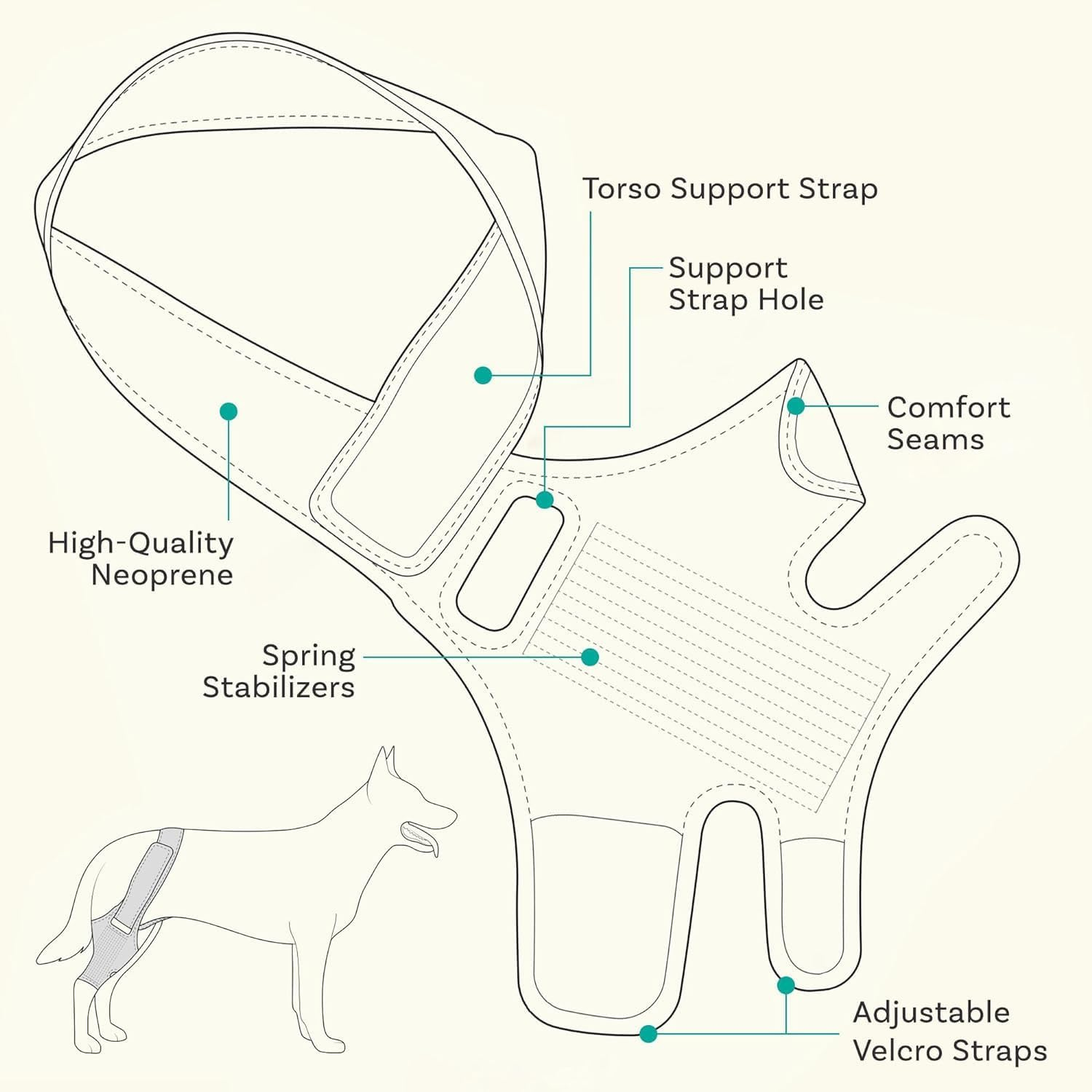 Hind Leg Dog Knee Brace, Cruciate Ligament Care Knee Brace for Dog Hind Legs, Strong Support ACL Support, Reduces Joint Pain and Muscle Soreness, with Side Stabilizer (L, Black) image number 1