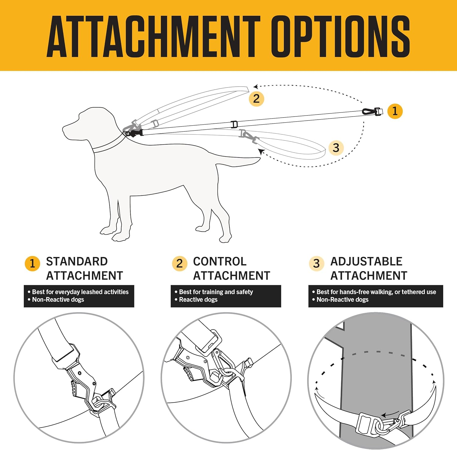 Carhartt Pet Durable Nylon Webbing Leashes for Dogs, Reflective Stitching for Visibility