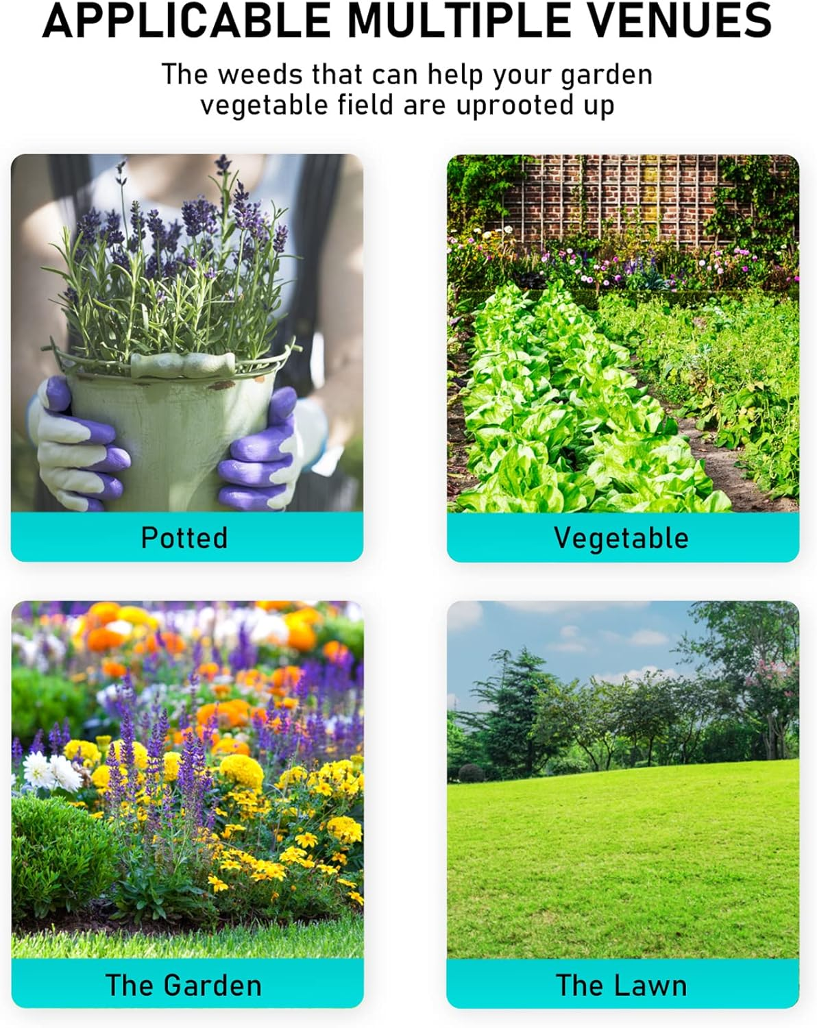 Weed Puller Tool, Manual Weeders Garden Tool Root Starter Eater Stand up Remover with Long Handle Easily Remove Weeds without Bending, Pulling, or Kneeling, Sliver (HGG0017) image number 4