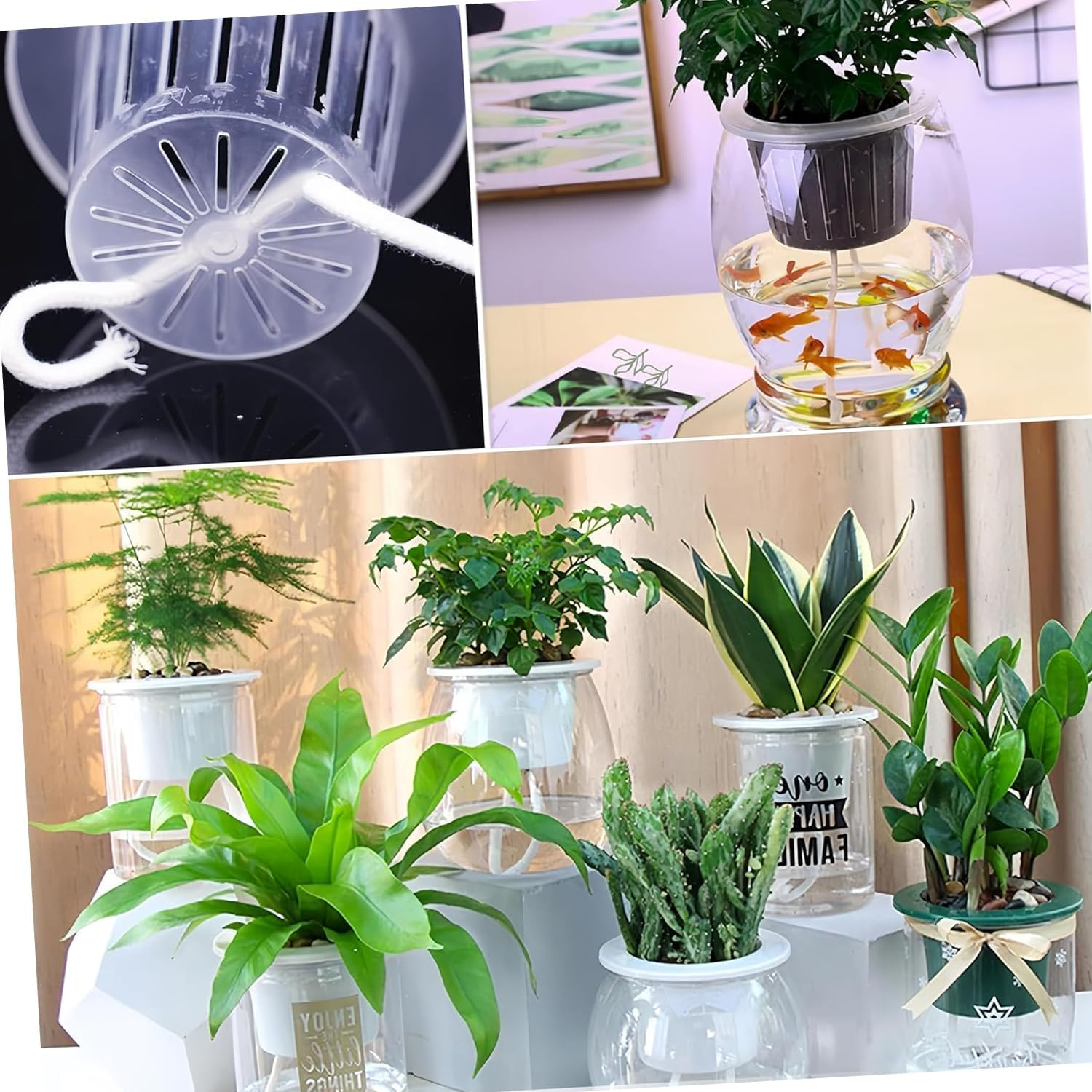 WEZCHUGHAOL 4Mm Self Watering Wick Cord - 10M Cotton String for Potted Plants, Automatic Drip Irrigation System, DIY Vacation Plant Waterer for African Violet, Herbs, No Electricity Needed image number 3