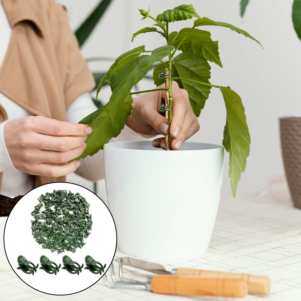 Plant Clips, 100PCS Orchid Support Clips for Supporting Stems Vines Grow Upright (Green) image number 6