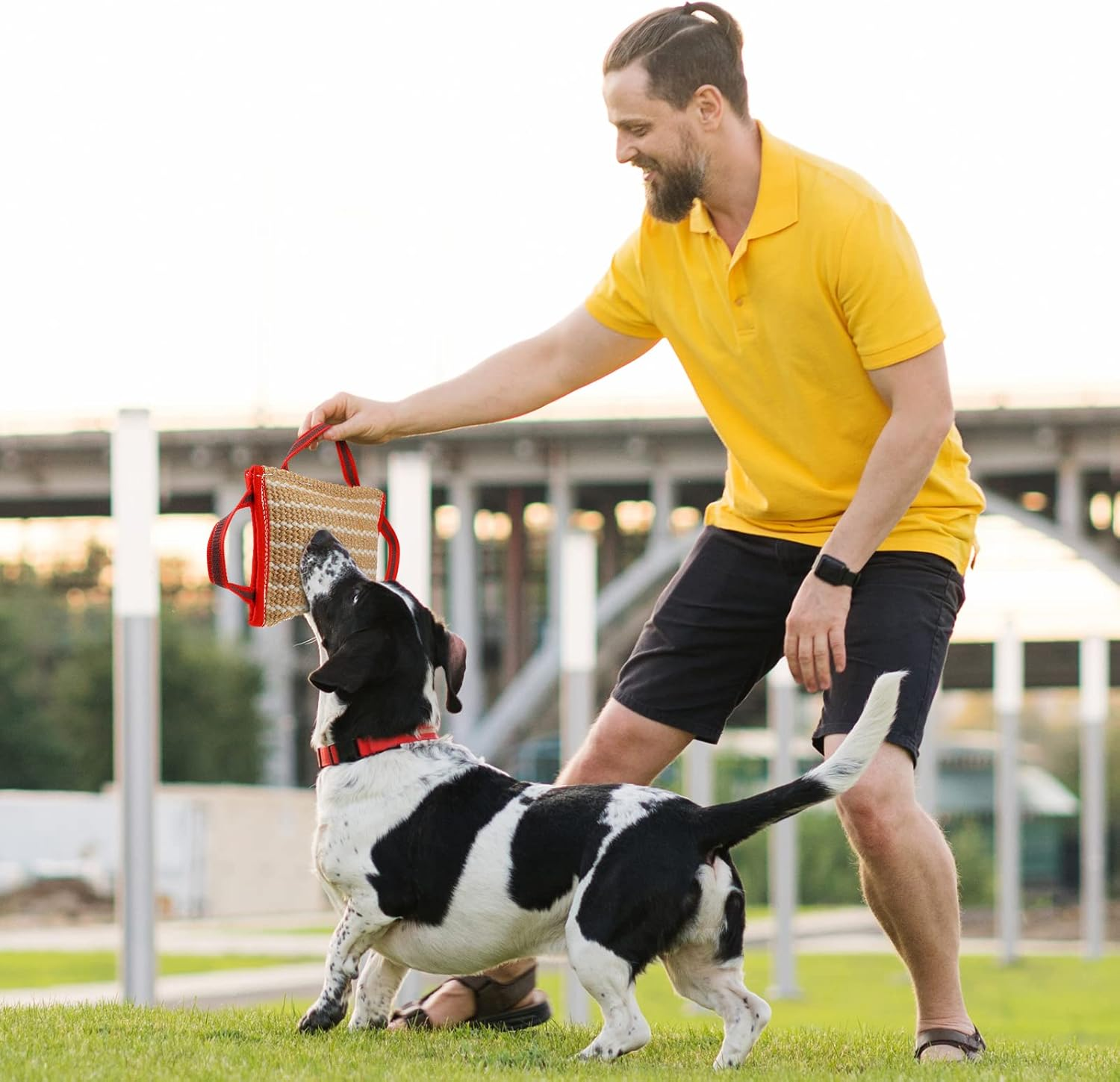 Libima 2 Pcs Dog Bite Pillow Tug Toy Dog Pillow with Strong Handles Tug of War Training Tools Toy Linen Pad for Puppy Young Small Medium Pets Interactive Play Training image number 4