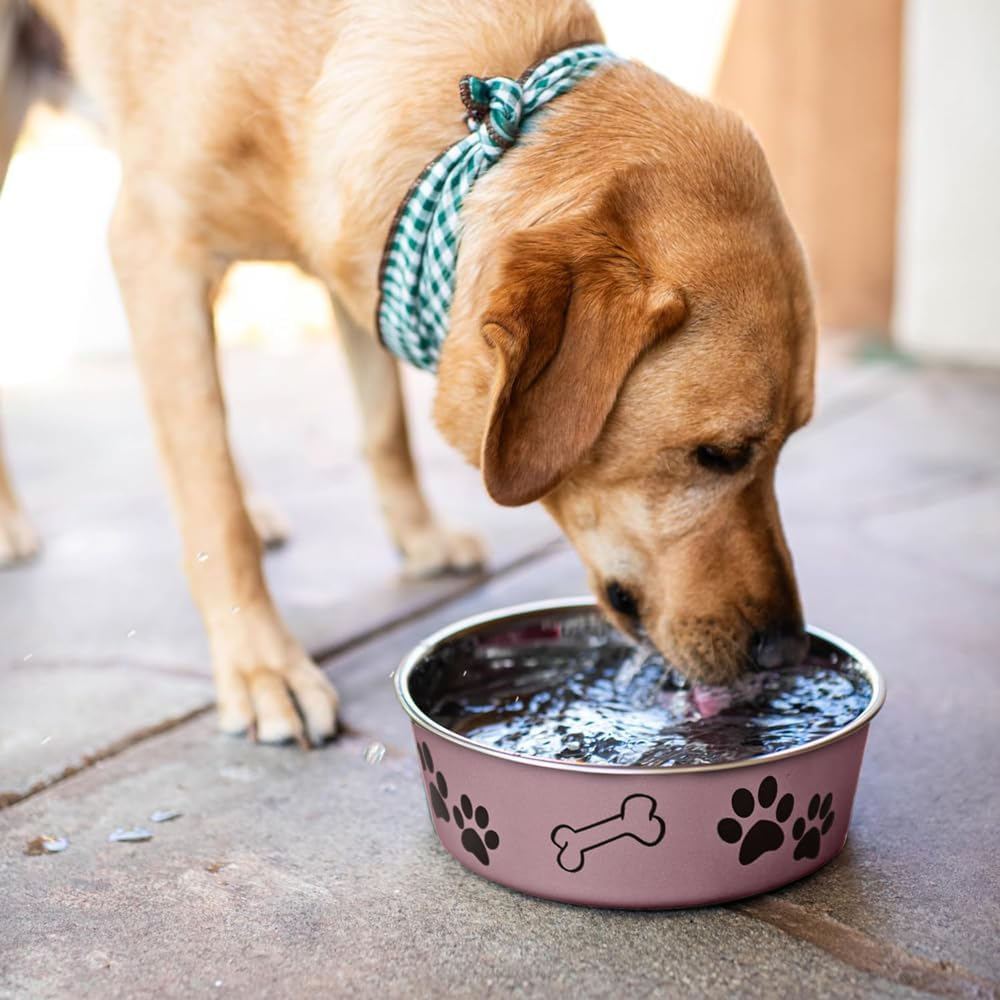 Loving Pets - Bella Bowls - Dog Food Water Bowl No Tip Stainless Steel Pet Bowl No Skid Spill Proof (Large, Grape Purple)