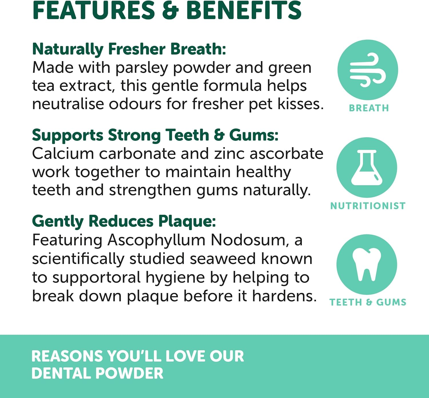 Natural Animal Solutions Dental Powder 80G &ndash; Natural Oral Supplement for Dogs & Cats, Freshens Breath, Reduces Plaque & Tartar image number 6