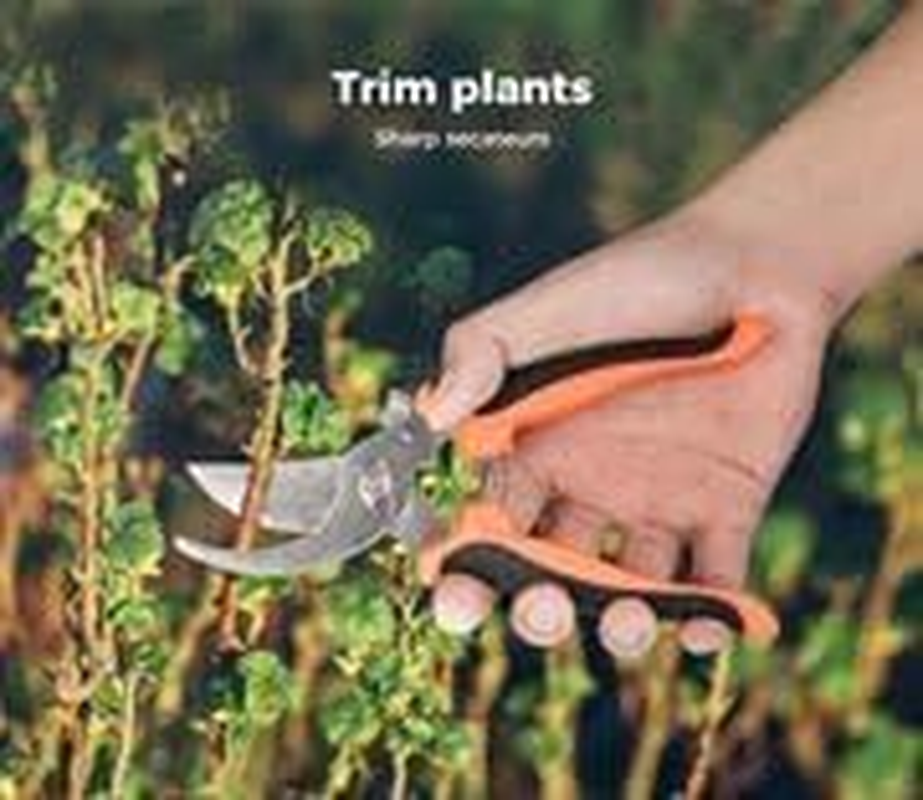 Lambu Garden Tote Bag with Tool Set, 8Pcs Outdoor Gardening Hand Tools Bag, Garden Multi Pockets Tool Organizer Contain Secateurs,Cultivator,Folding Pruning Saw,Trowel,Spray Bottle,Gloves,Culti-Hoe image number 2