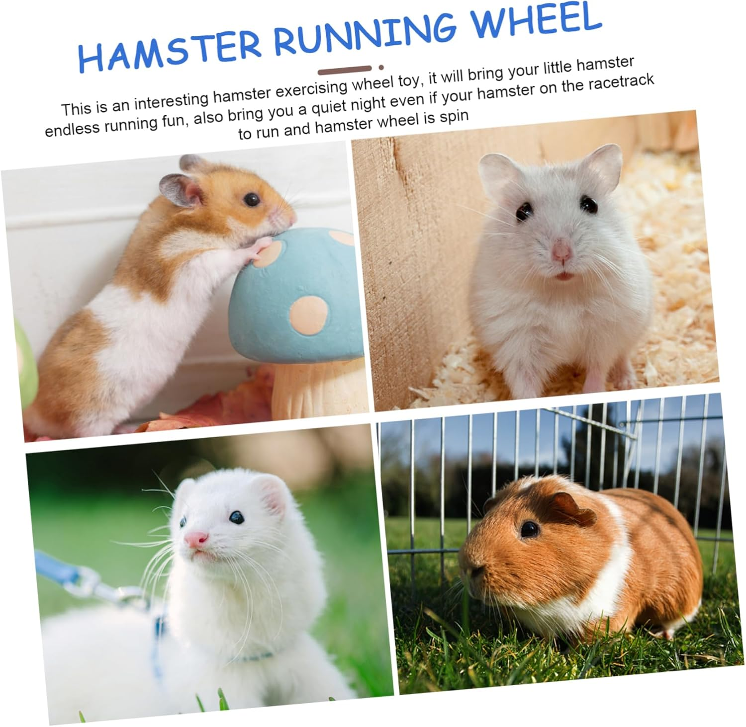 DOITOOL Squirrel Playing Wheel Funny Hamster Wheel for Exercise and Entertainment Sturdy Quiet Design 8 Inch Suits Chinchilla Rat Hedgehog Cage Accessories for Indoor Play image number 4