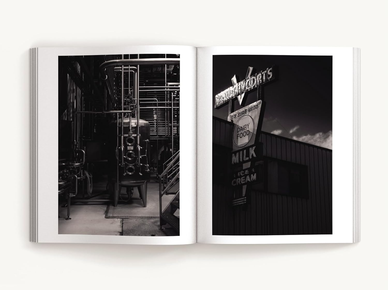 Visually Speaking: Mastering Photography as a Visual Language image number 1