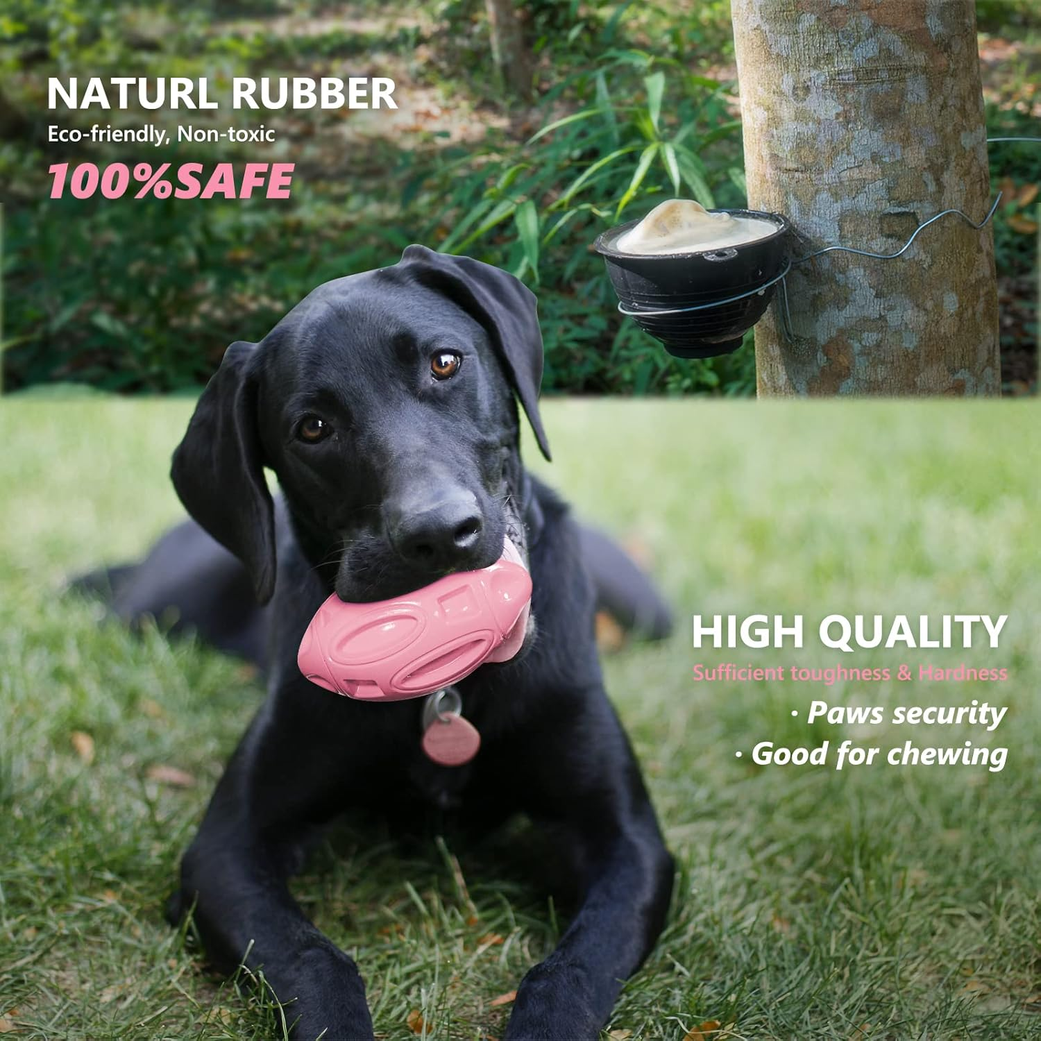 EASTBLUE Squeaky Dog Toys for Aggressive Chewers: Rubber Puppy Chew Ball with Squeaker, Almost Indestructible and Durable Pet Toy for Medium and Large Breed - Green image number 6