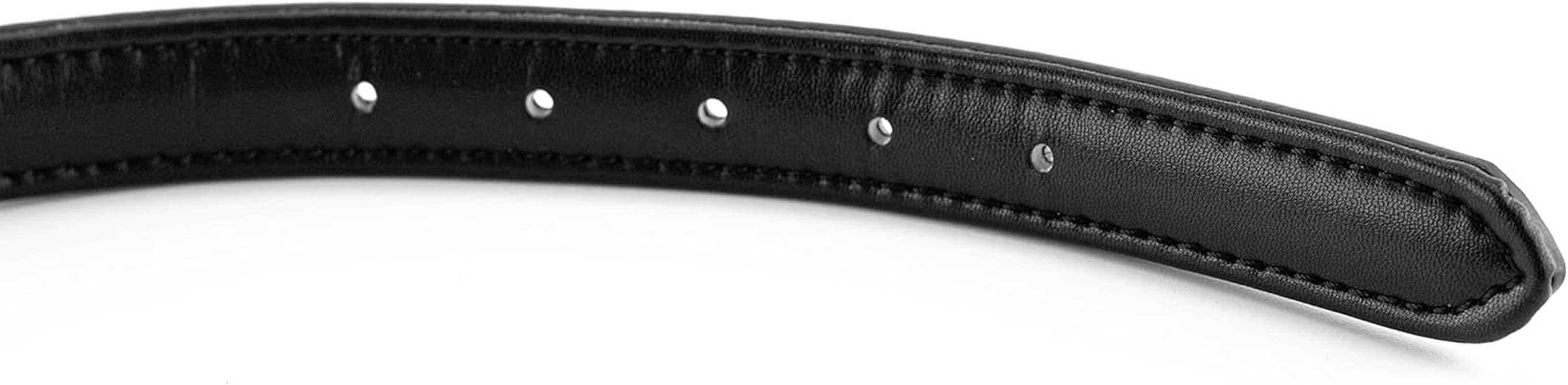 Brute Strength - Leather Dog Collar - Orange - M - Fits 14 3/16" and 16 15/16" Neck - Dog Tag Ring - Full Grain Heavy Duty - Soft Padded - Handmade - Dog Collar for Medium Dogs image number 5