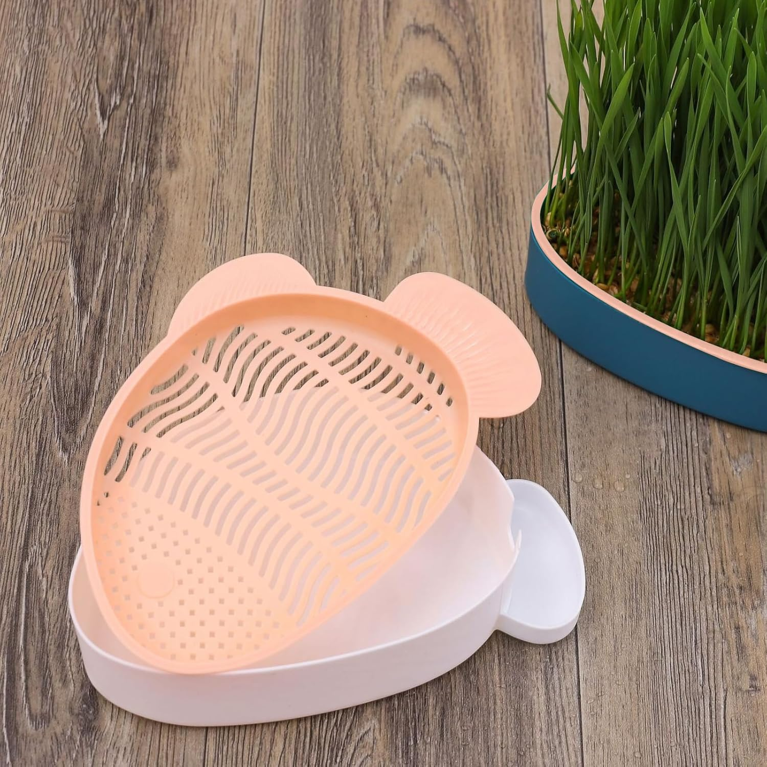 HOMURY Fish Shape Cat Grass Tray Growth Set: 2 Pieces Plastic Comfortable Cat Grass Case, Hydroponic Cat Grass Box with 10 Bags Seed, Cat Grass Germination Tray for Cats Pets image number 3