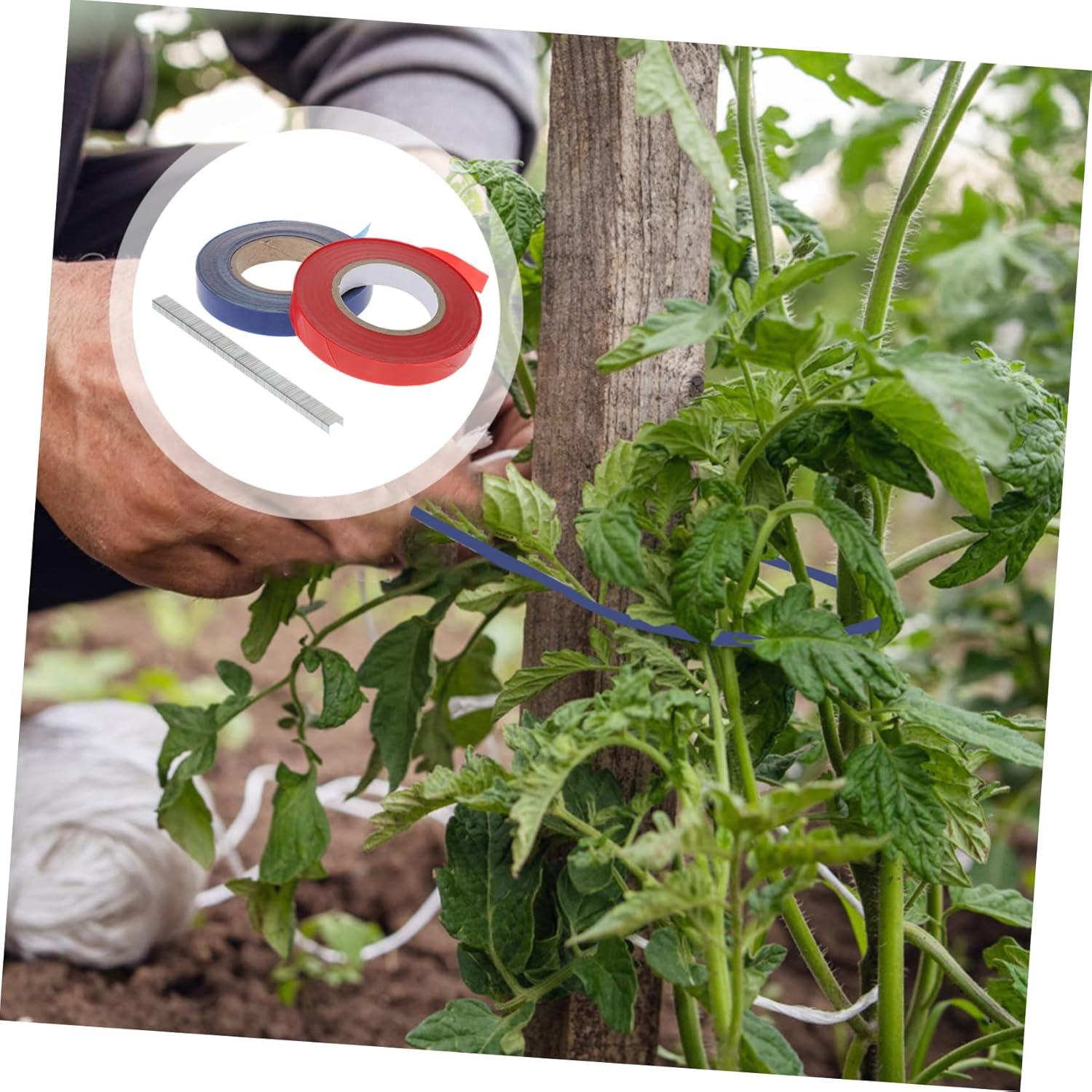 Gogogmee Garden Plant Ties PVC Tape Set with Staples for Vegetable and Flower Support, 21Pcs Kit with 10 Red and 10 Blue Branch Straps, Reusable Plant Tying Solution for Outdoor Gardening