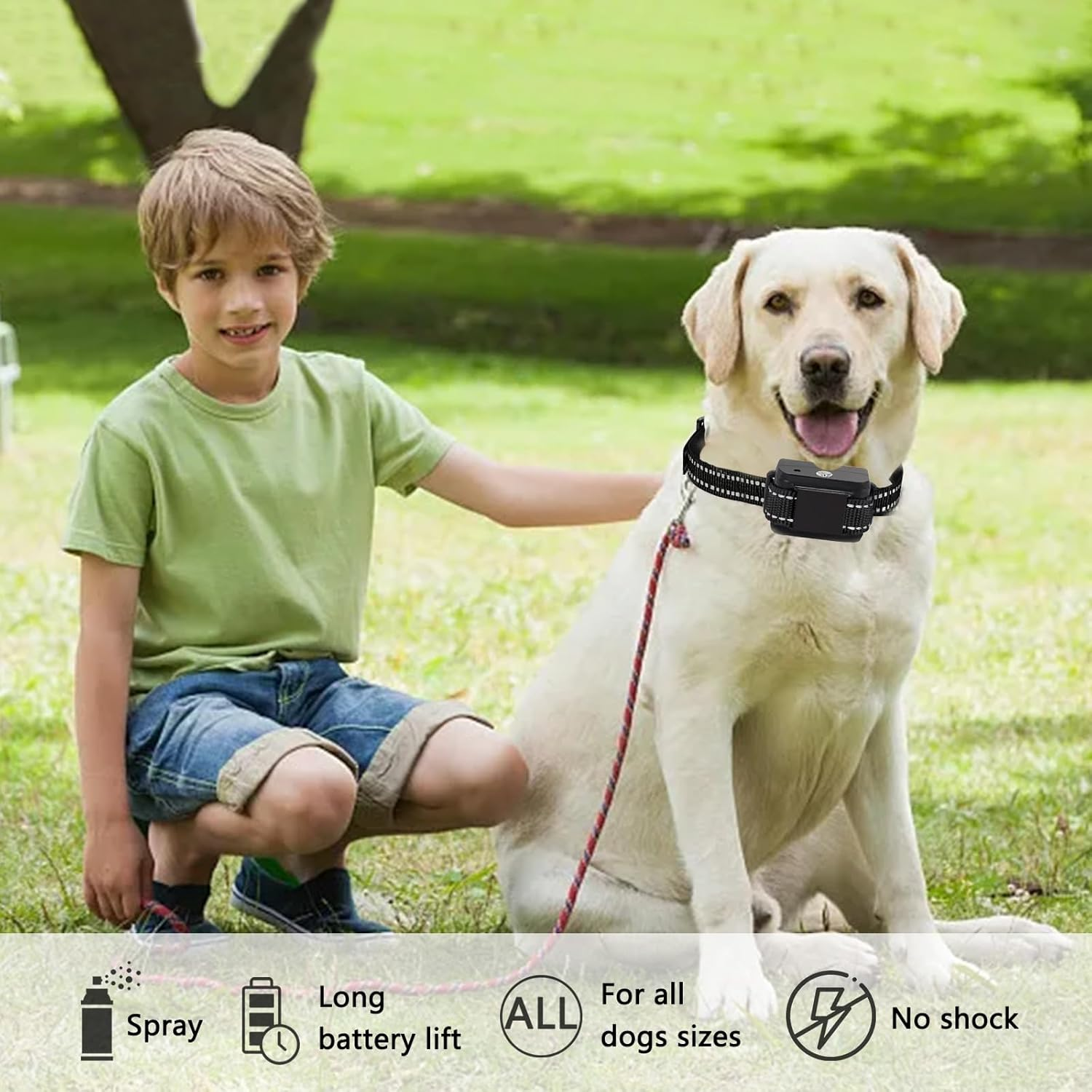 Anti Bark Collar,Citronella Dog Collar with 2 Straps,No Shock Humane Water Spray Dog Collar,Rechargeable Dog Training Collar with 2 Adjustable Spray & Sensitivity Level for Small Medium Large Dogs image number 5
