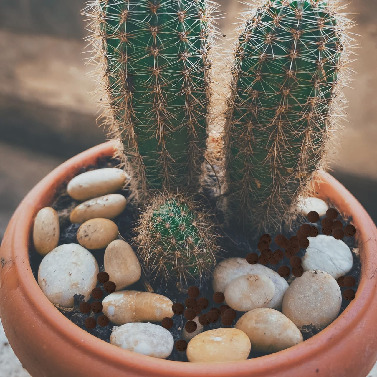 Garneck for Orchid Planting - Breathable Indoor Potting Soil - Lightweight Growing Medium for Healthy Roots Ideal for Home Decor and Garden Use 2L Bag image number 3