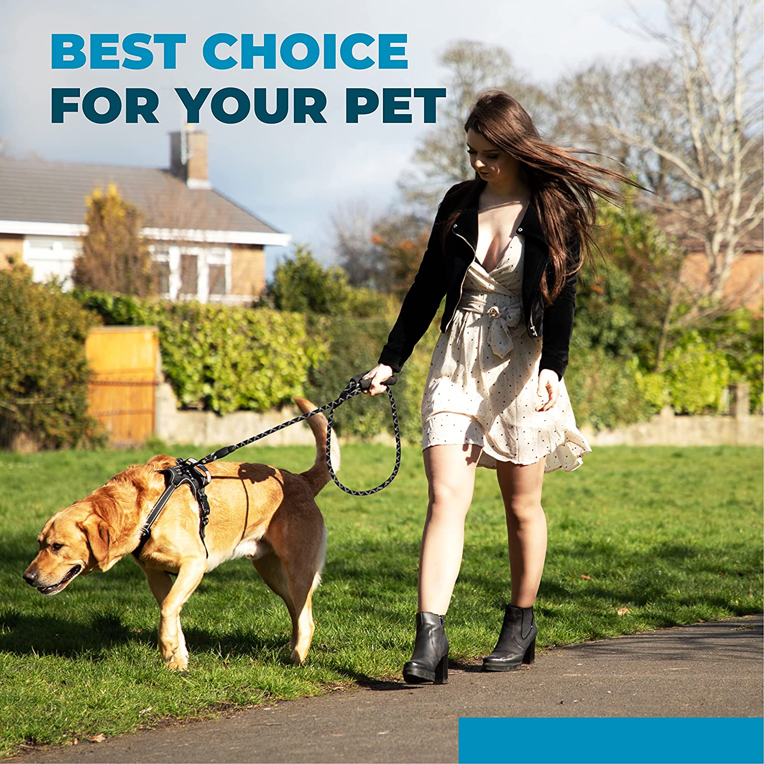 6 Ft Dog Leash ; Durable & Strong Nylon Dog Lead by Saffily - Comfortable Padded Handle and Perfect for Medium & Large Dogs Training-4X Reflective Thread Is Used in Our Dog Leashes image number 3