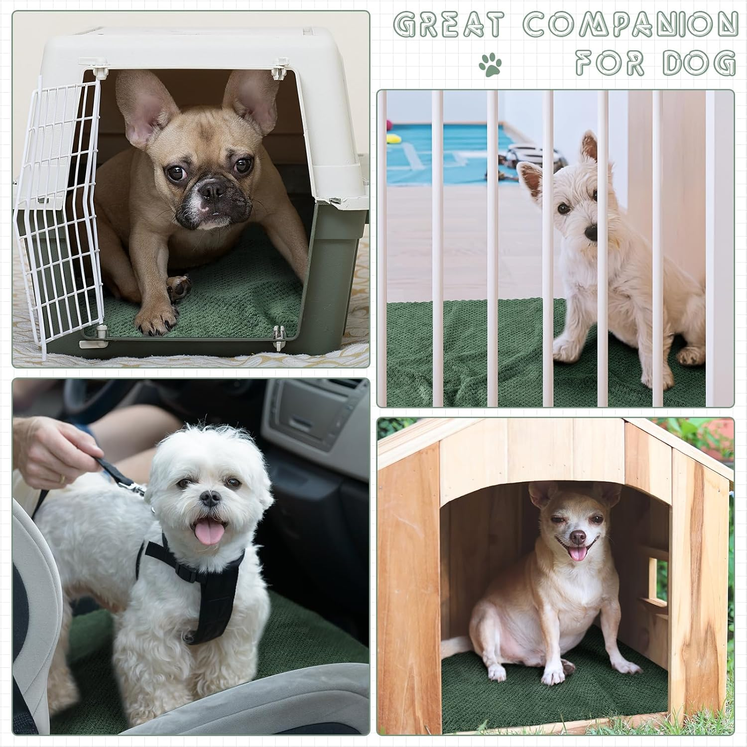 Vitalcozy 10 Pcs Waterproof Guinea Pig Pee Pad Guinea Pig Cat Dog Blankets Hamster Cage Liners Accessories Coral Fleece Small Animals Blankets Bedding Mats Sleep Pad Cover (Dark Green,12 X 12 Inch) image number 1