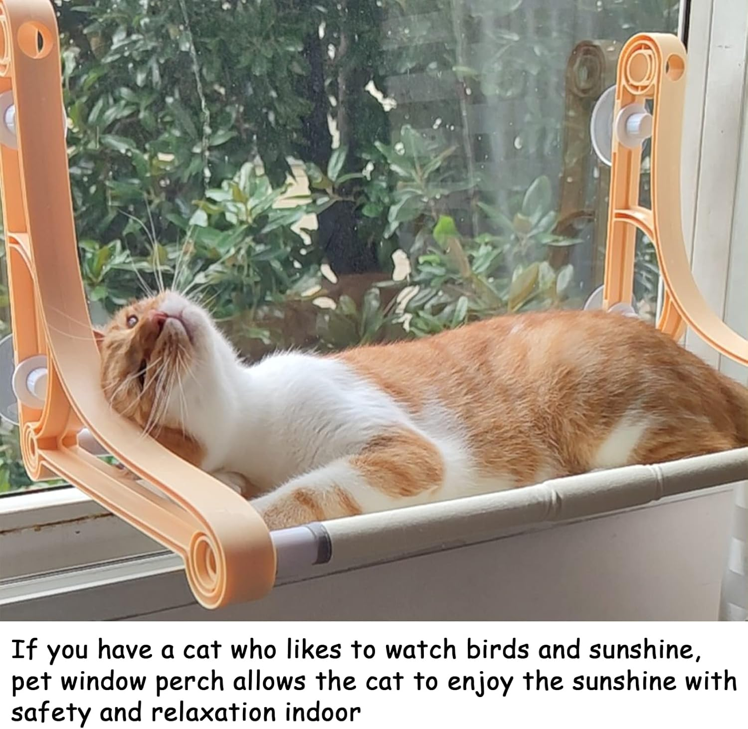 Fhiny Cat Window Perch, Cats Hammocks Seat for Indoor Cats with 2 Installation Styles Kitten Bed with Reinforced Screw Suction Cups & Shelves Space Saving Window Furniture for Small Cats Playing image number 1