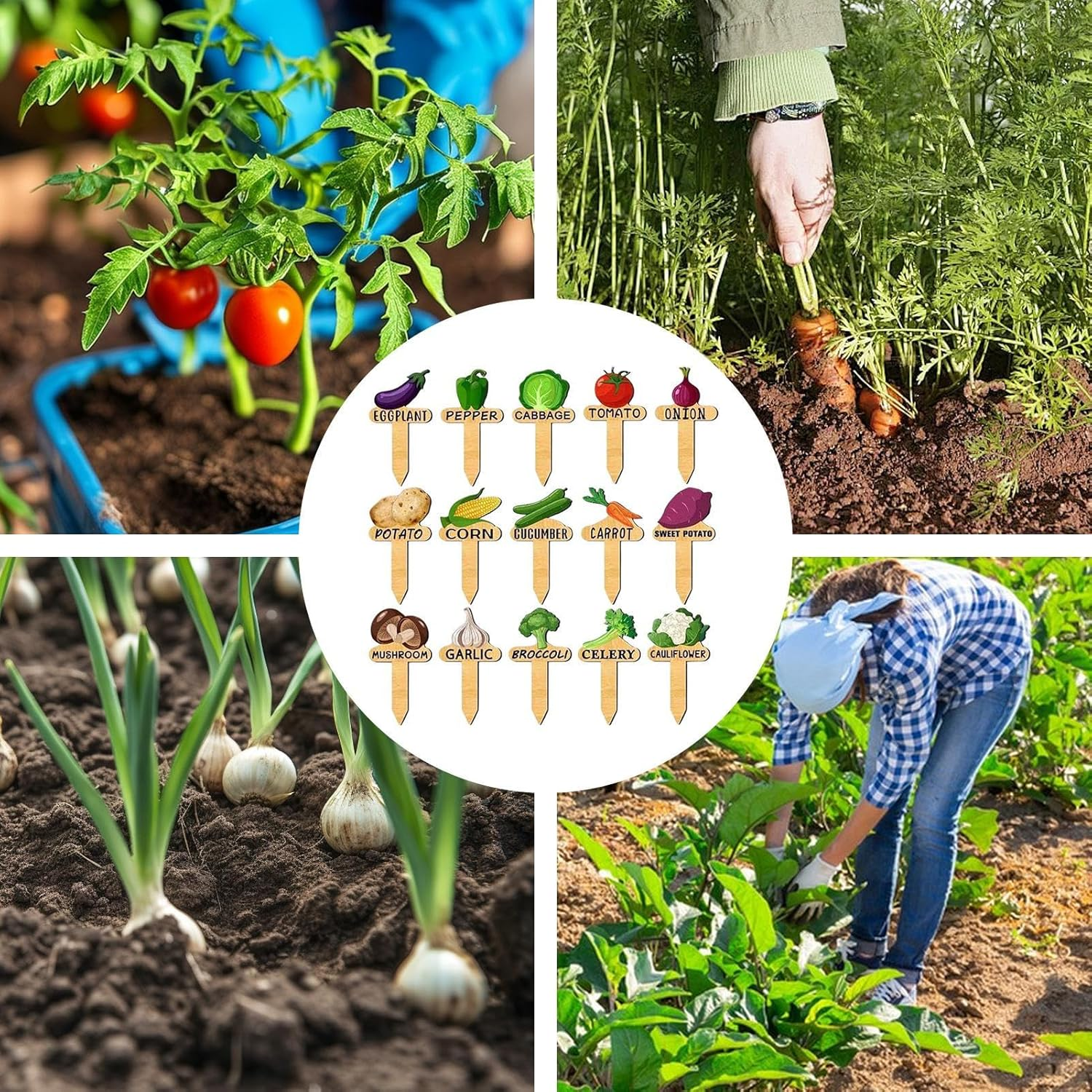 Plant Tags - 15X Garden Markers Plant Tags and Labels,Wooden Vegetable Identification and Organization Supplies for Greenhouse Indoor Outdoor image number 2