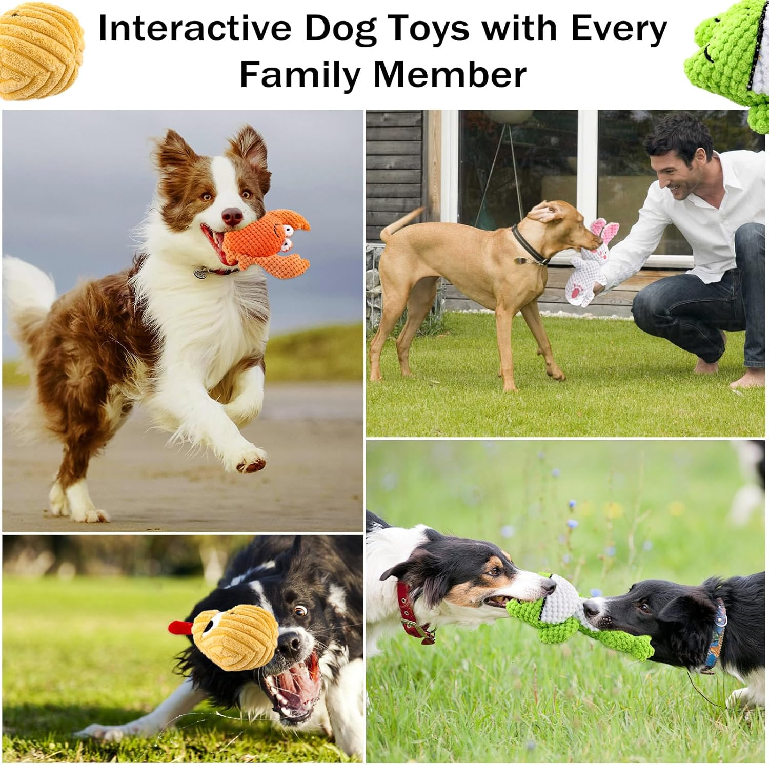 Squeaky Dog Toy Medium Interactive Soft Cotton Stuffed Animal Toys for Daily Companionship Training Reward Gift image number 2