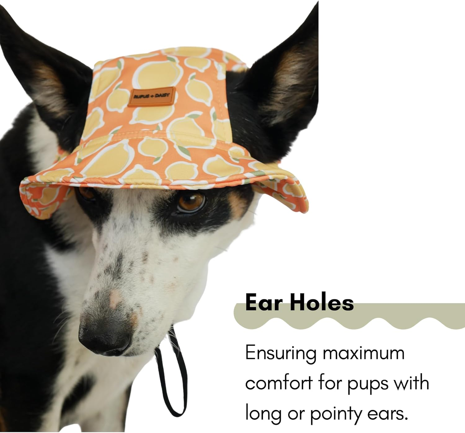 Lemon Print Dog Bucket Hat Yellow Peach Wide Brim for Pets Outdoor Hat Sun Protection Summer Cap for Small Medium Large Dog (S) image number 2