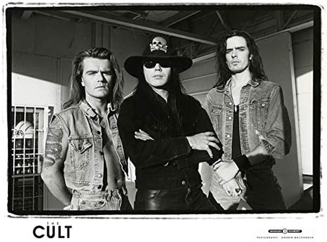 Sonic Temple 30Th Anniversary (Vinyl) image number 3