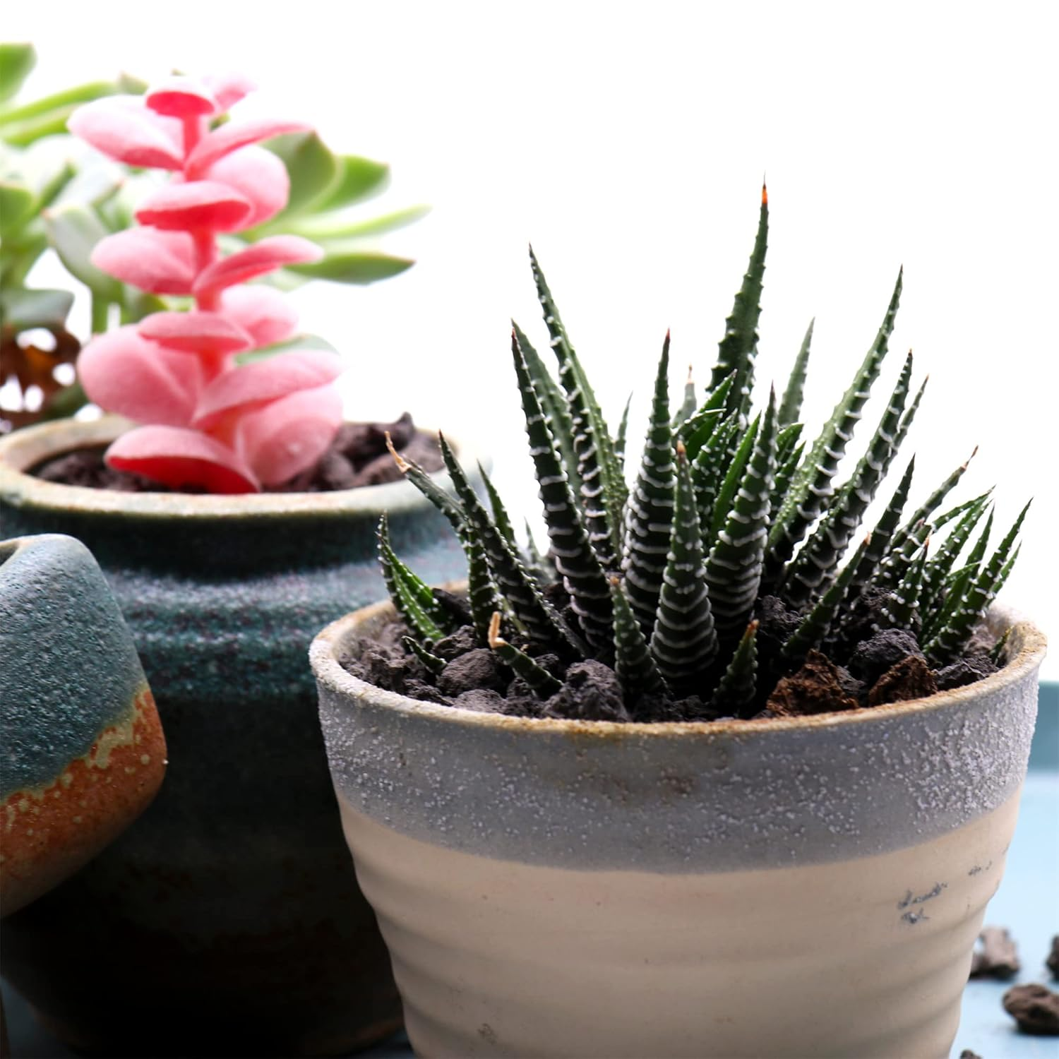 Premium Pebbles Volcanic Rock for Plants. Black Lava Rock. 1/5 Inch - 2 Lbs for Potting Soil, Succulents, Pots, Plants, Indoor, Crafting, Vase Fillers (Mini (0.2 Inch), Horticultural - Black Lava, 2) image number 5