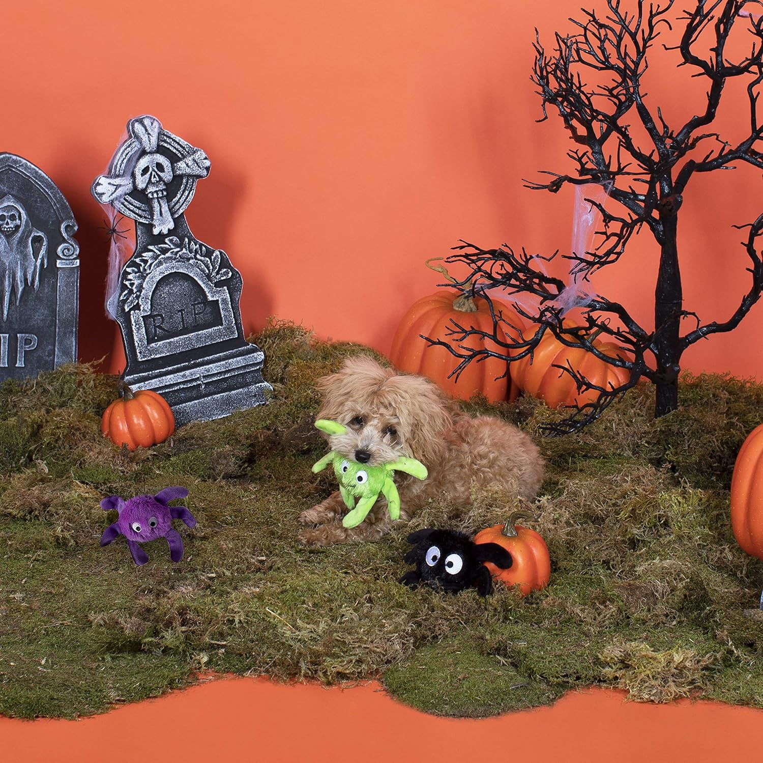 Fringe Studio Mini Dog Toy Set, Creepy Crawly Spiders, Set of 3 (289479) image number 1