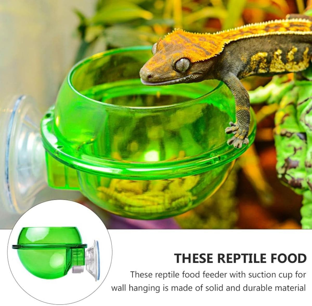 AIMALL 2 PCS Reptile Feeder Anti-Escape Suction Cup Chameleon Bowl Terrarium Food Water Feeding Dish, Double-Layer ABS Design, Easy Installation, Green 3.9 Inch Wall-Mount Bowl for Reptiles image number 5