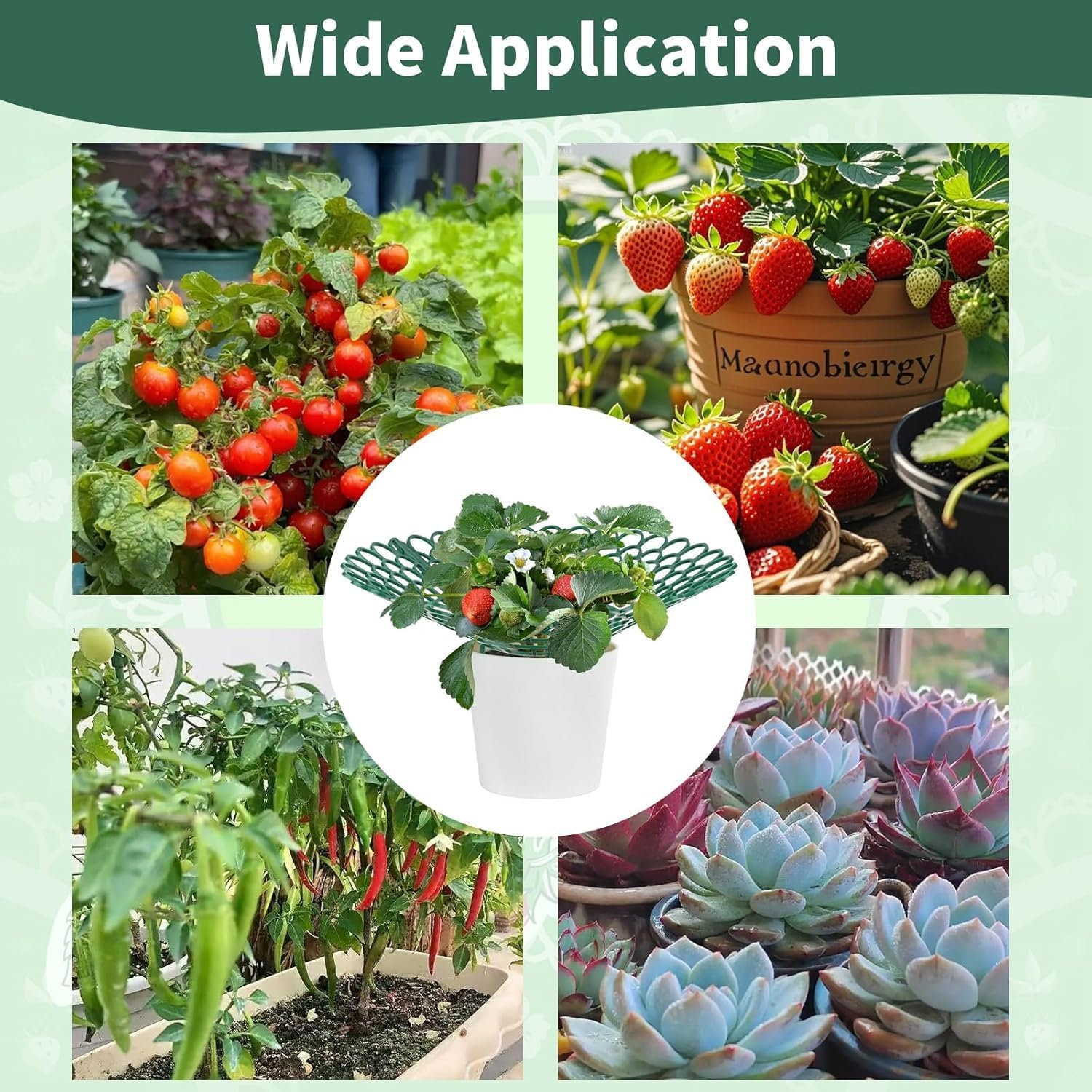 6Pack Strawberry Supports Petal-Shaped Strawberry Stand Plastic Fruits Growing Rack Balcony Vegetable Rack Planting Garden Accessories with 3 Sturdy Legs for Vegetable Garden Orchard image number 5