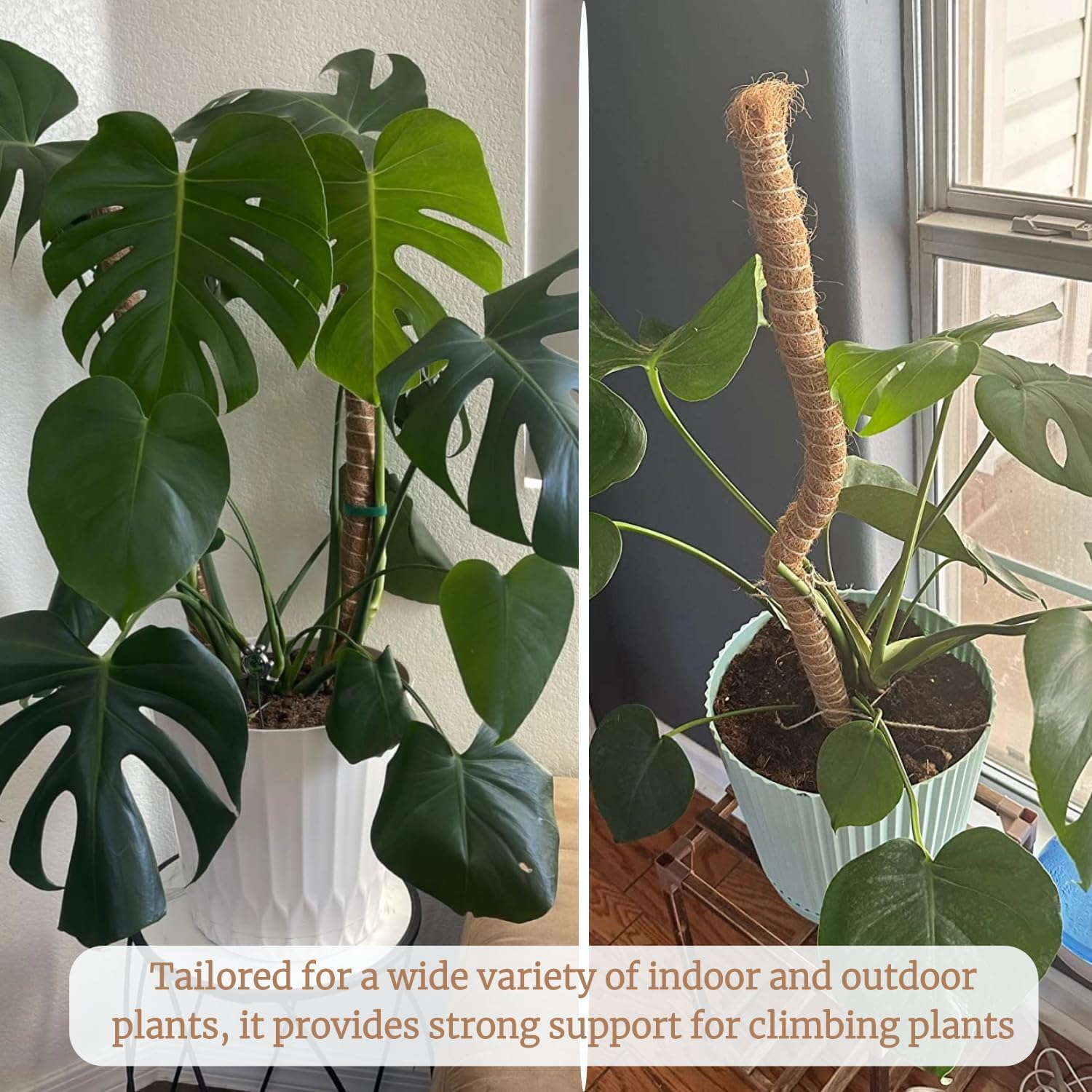 Moss Pole Monstera Support, Bendable Stakes for Indoor Climbing Plants, Tall Garden Trellis Stick for Pothos, Potted Plants (H:90Cm) image number 2