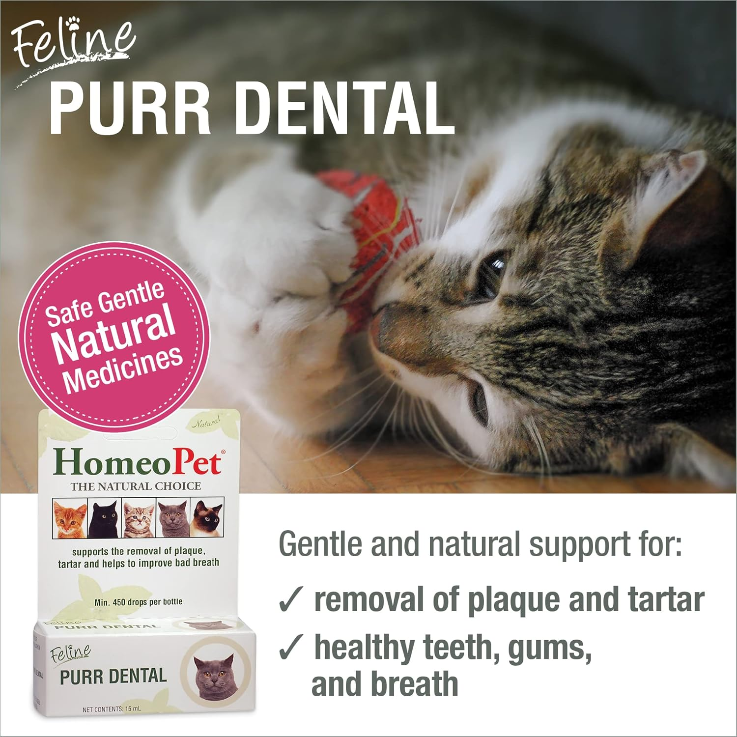 Homeopet Australia Purr Dental Drops 15 Ml