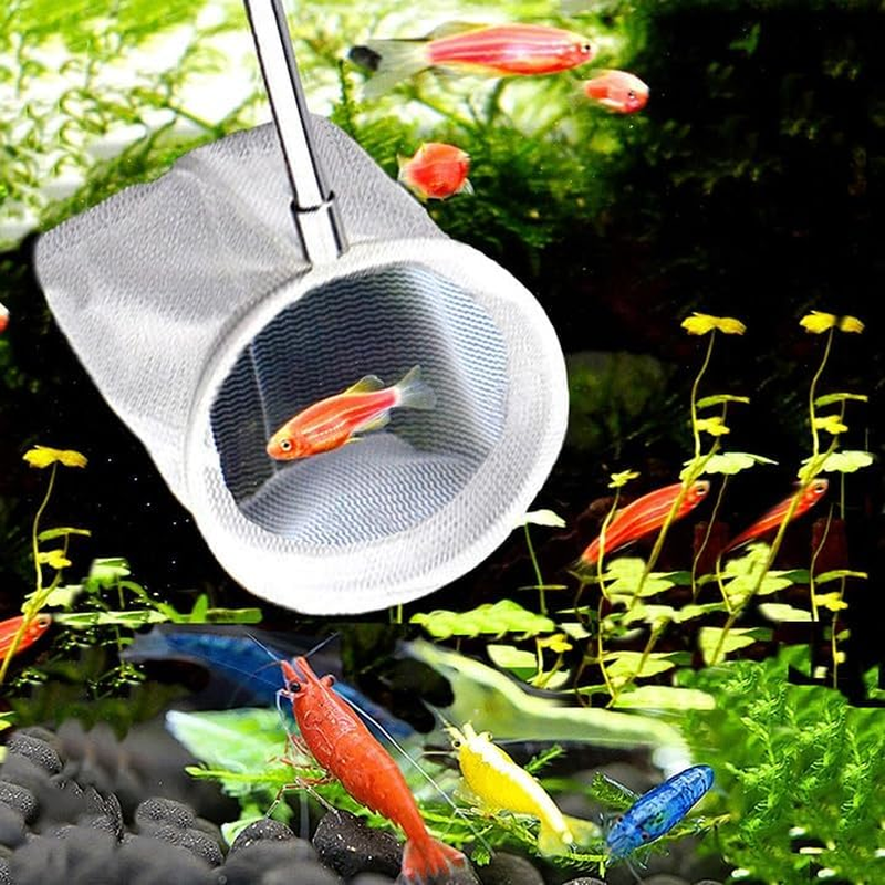 2Pcs Small Telescopic Shrimp Net, Aquarium Shrimp Net, Telescopic Fish Tank Shrimp Net, Mini Telescopic Aquarium Fish Net for Small Fish Shrimp Insect (Square Net+Round Net image number 2