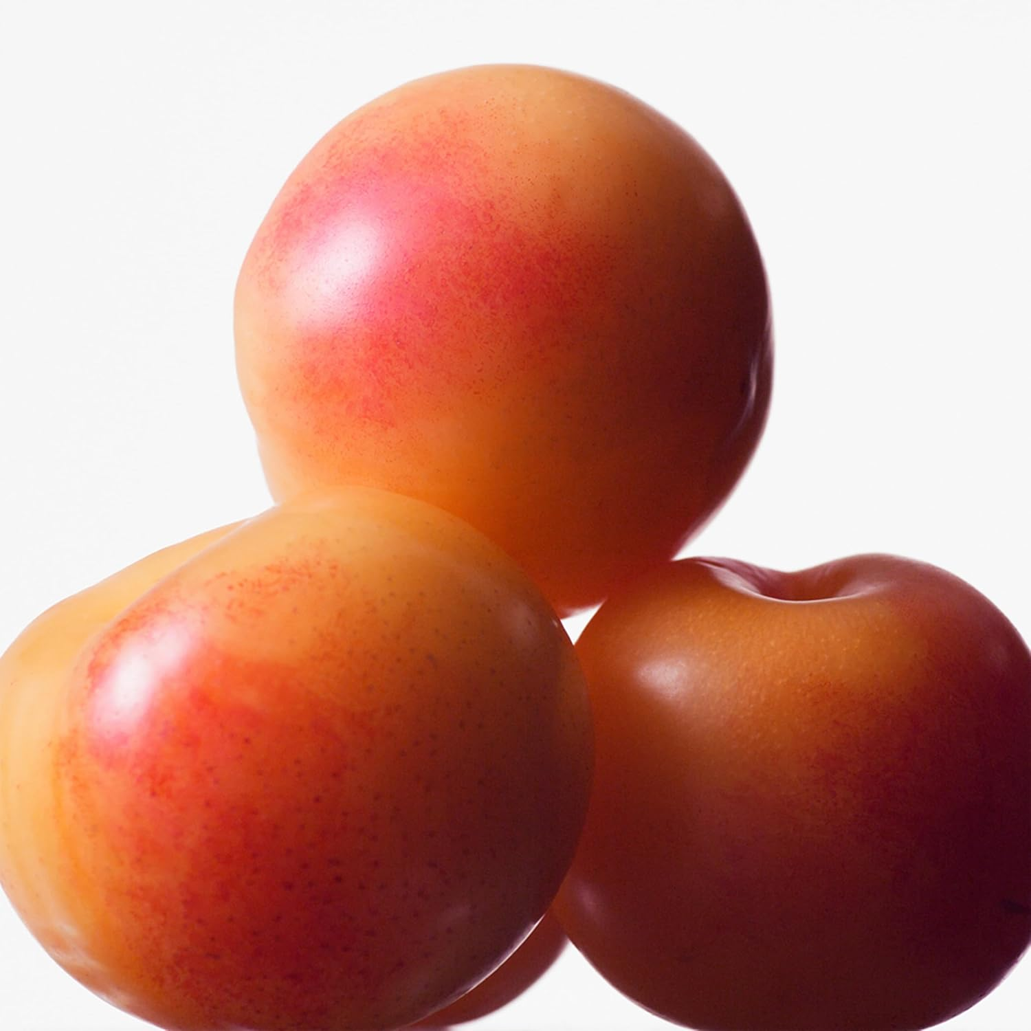 CALVIN KLEIN Euphoria EDT image number 1