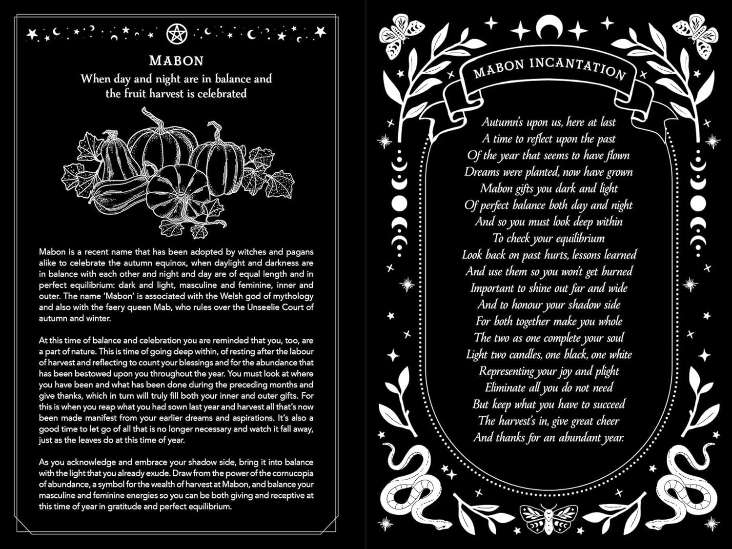 2026 Witch'S Diary: Southern Hemisphere image number 3