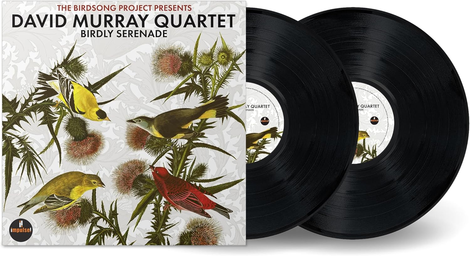 Birdly Serenade image number 1