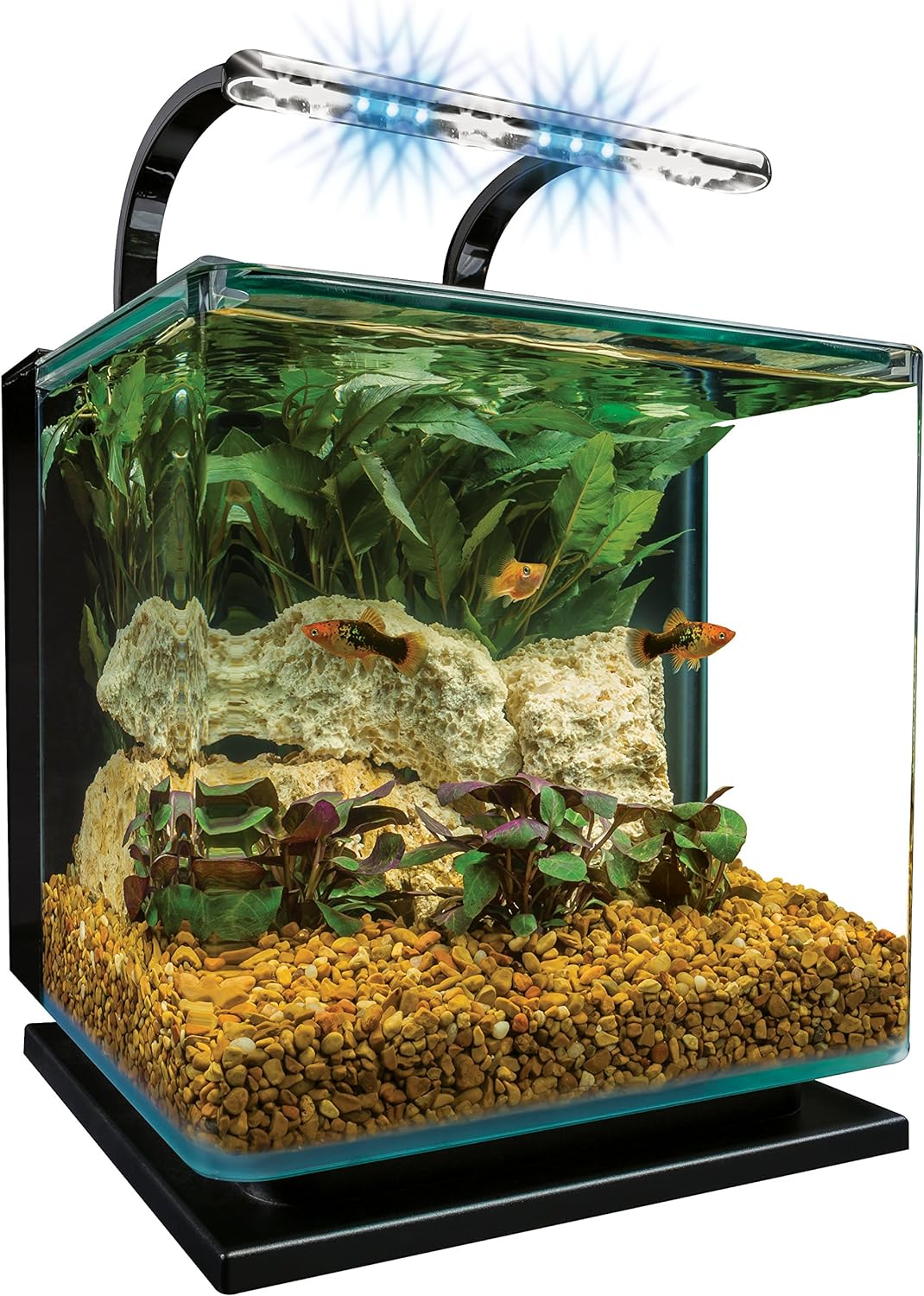 Marineland Contour 3 Aquarium Kit 3 Gallons, Rounded Glass Corners, Includes LED Lighting image number 2