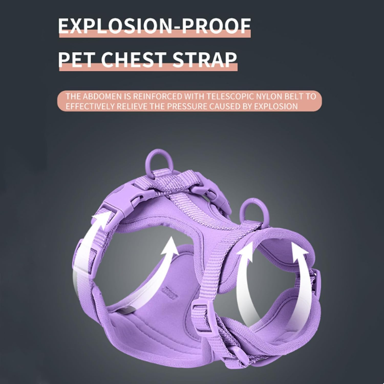 IUOUTG Dog Harness No Pull Nylon Cute Pet Harness Dog Vest Harness for Small Medium Large Dogs Lightweight Cat Harness with 3 Metal Rings 2 Buckles Pet Hiking Harness for Running & Walking image number 4