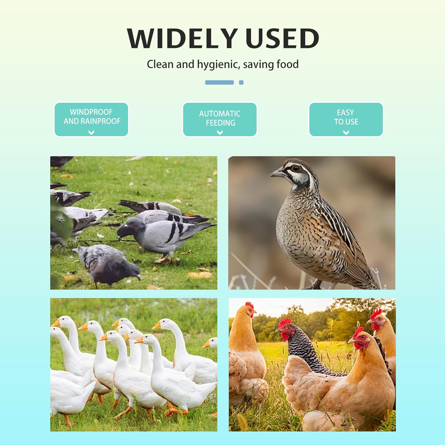 6 Port Chicken Feeder for Bucket No Waste Automatic Gravity Poultry Feeder, Rat Proof Weatherproof, Easy to Install for Hens, Chicks, and Wild Birds (Red, PP Material) image number 3