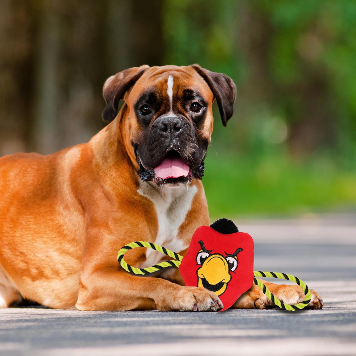 Pets First NBA Atlanta Hawks Mascot Toy for Dogs & Cats. Cute & Entertaining Face with Heavy-Duty Ropes. 7" Chewy Cartoon Toy with Inner Squeaker image number 7