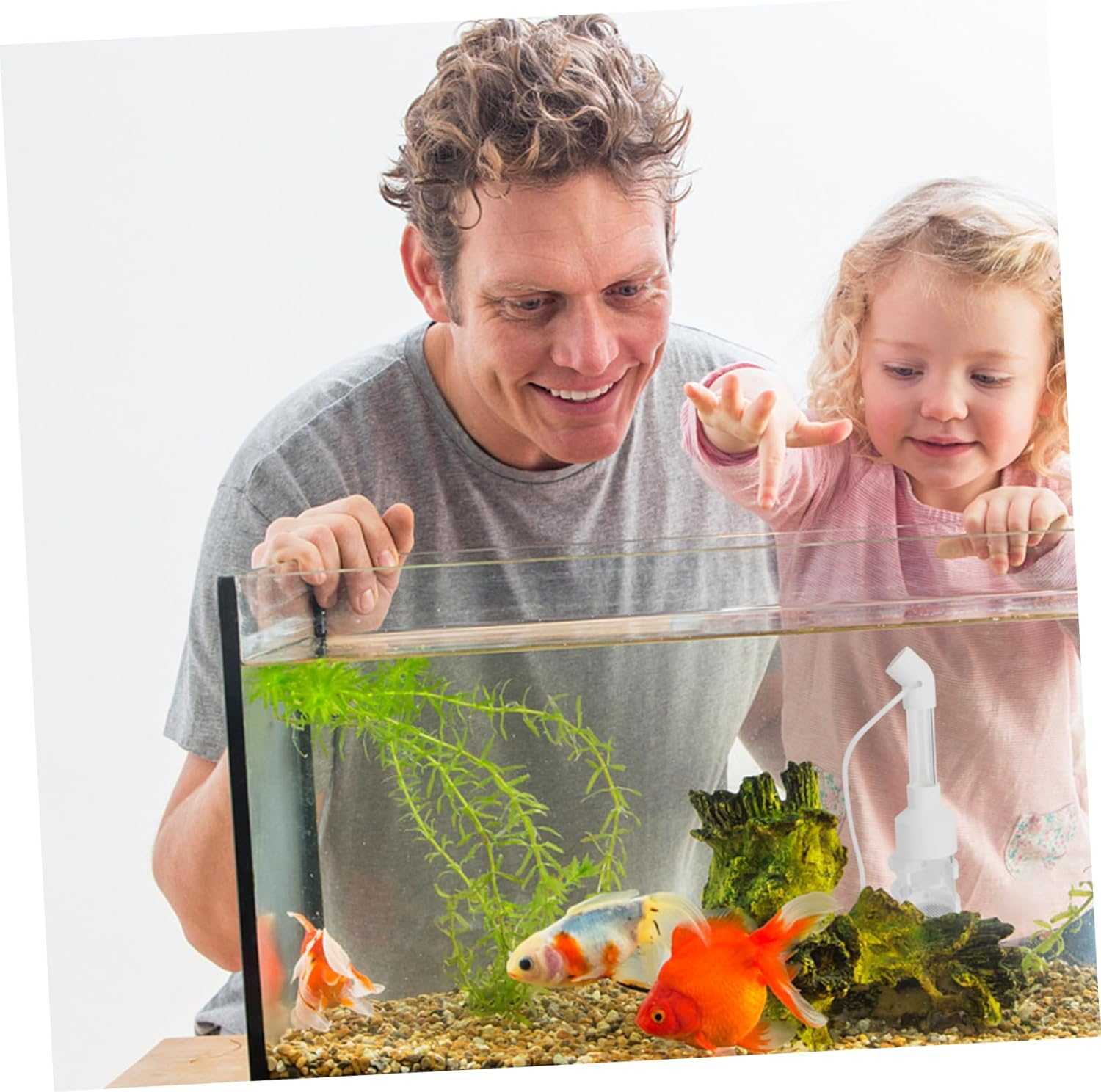 HAPINARY 2Pcs 50Mm Fish Hatchery Incubator Egg Tumbler Mouth-Brooding Fish Breeding Tank Aquarium Breeder Box for Cichlid Fry in Aquatic Pets Random Color image number 4