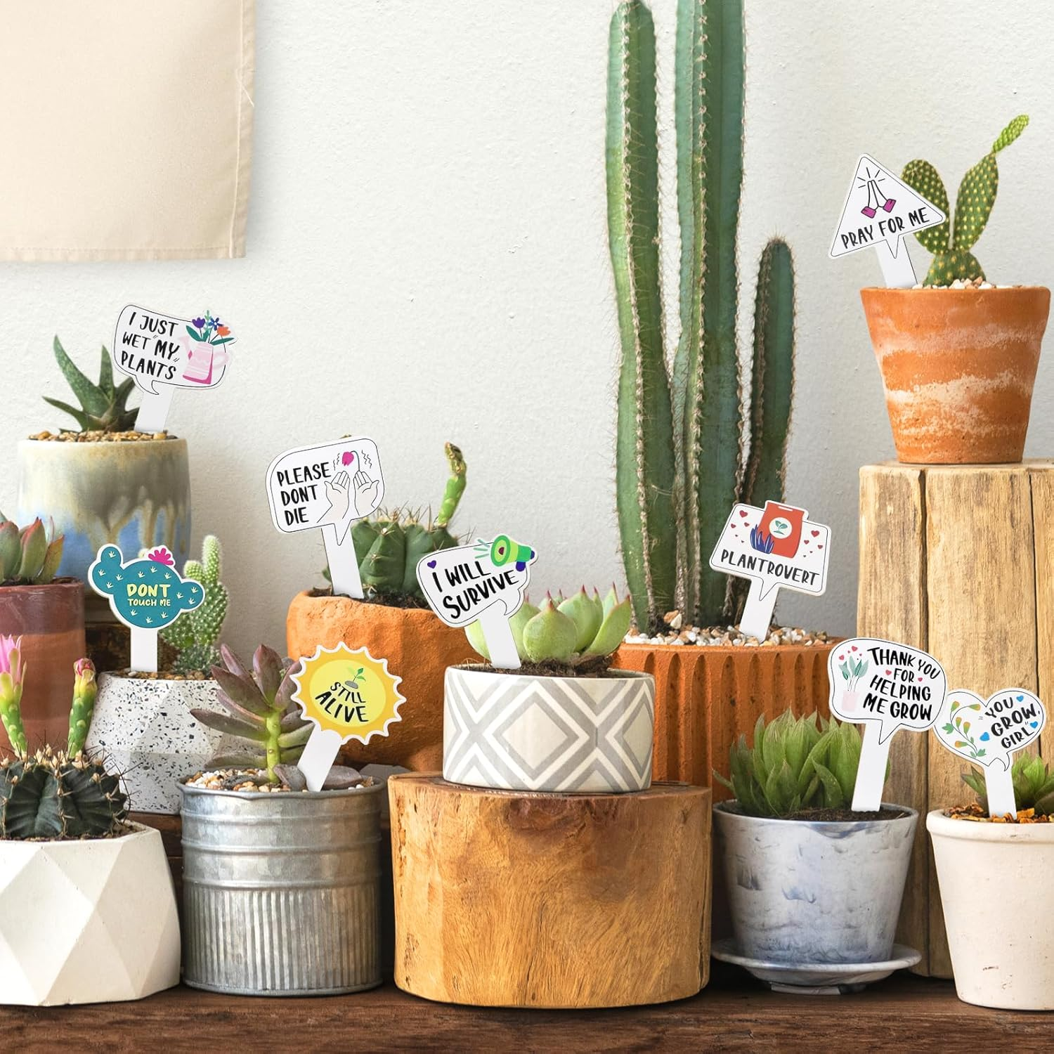 GEEHUA 15Pcs Funny Wooden Plant Markers, Garden Plant Labels Tab Cute Patterns Plant Signs for Succulent Flowers Greenery Seedling Plants Waterproof Plant Tags for Outdoor Indoor Patio Supplies image number 3