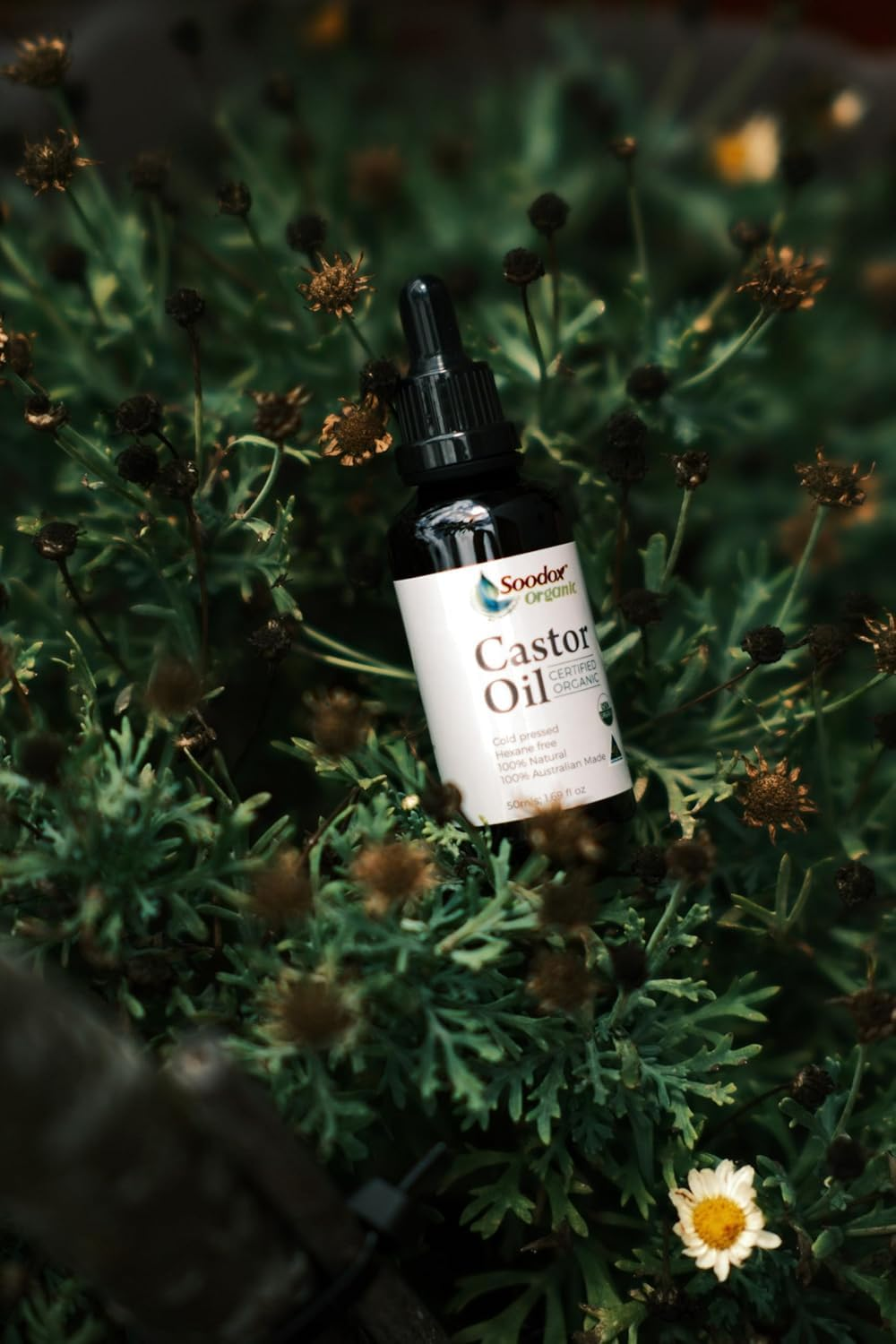 Soodox Organic | 100% Certified Organic Castor Oil | 2 X 50Ml Pack Glass Bottle - Pure Cold Pressed/Hexane Free/Bonus Brushes Included/Australian Made image number 2