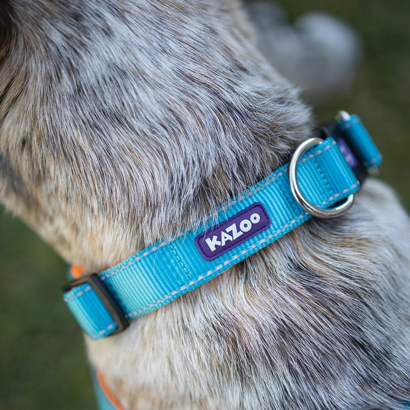 Kazoo Active Easy-Clip Dog Collar, Ocean Sunrise, Large image number 4